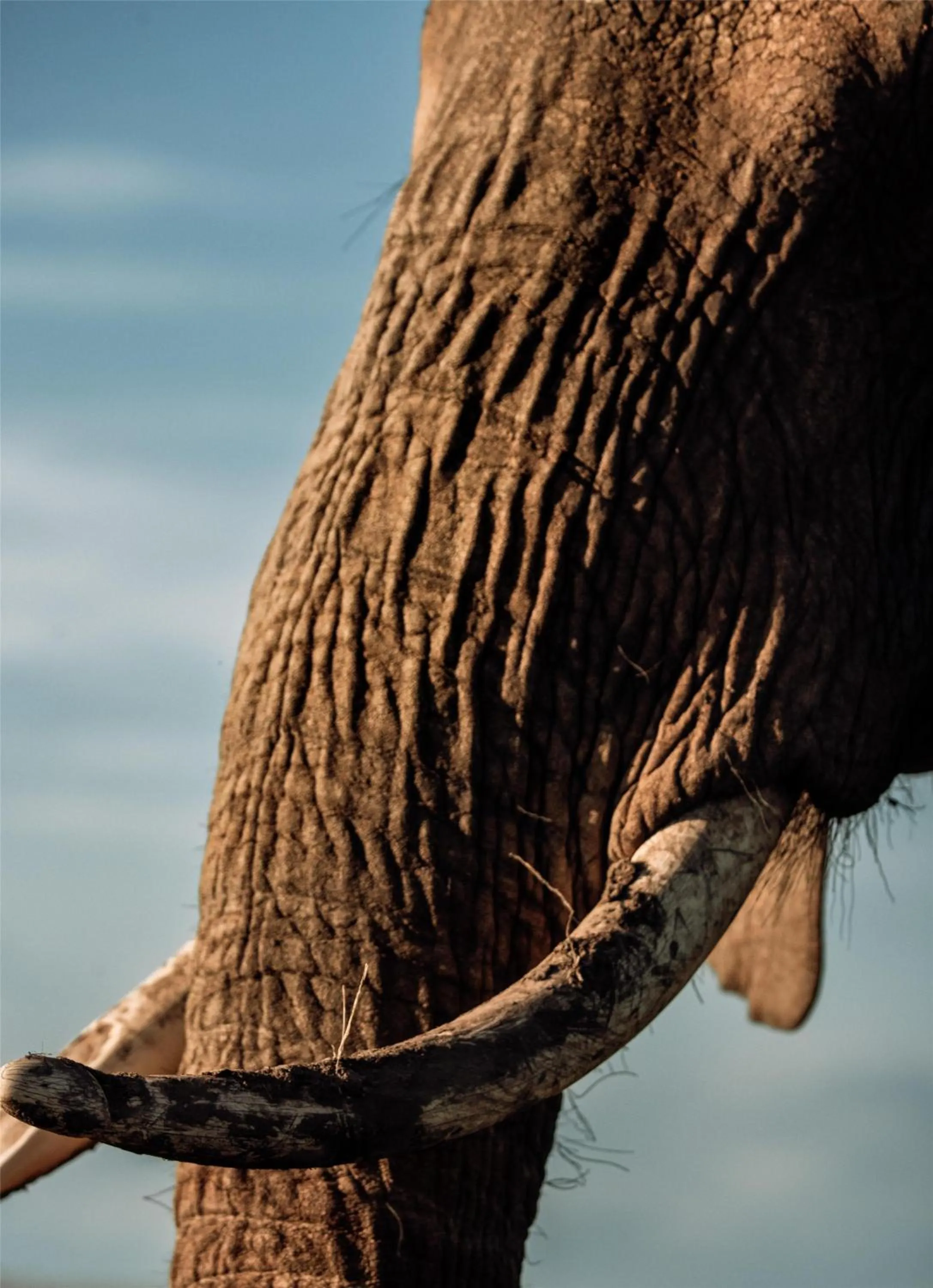 Sports in Olare Mara Kempinski