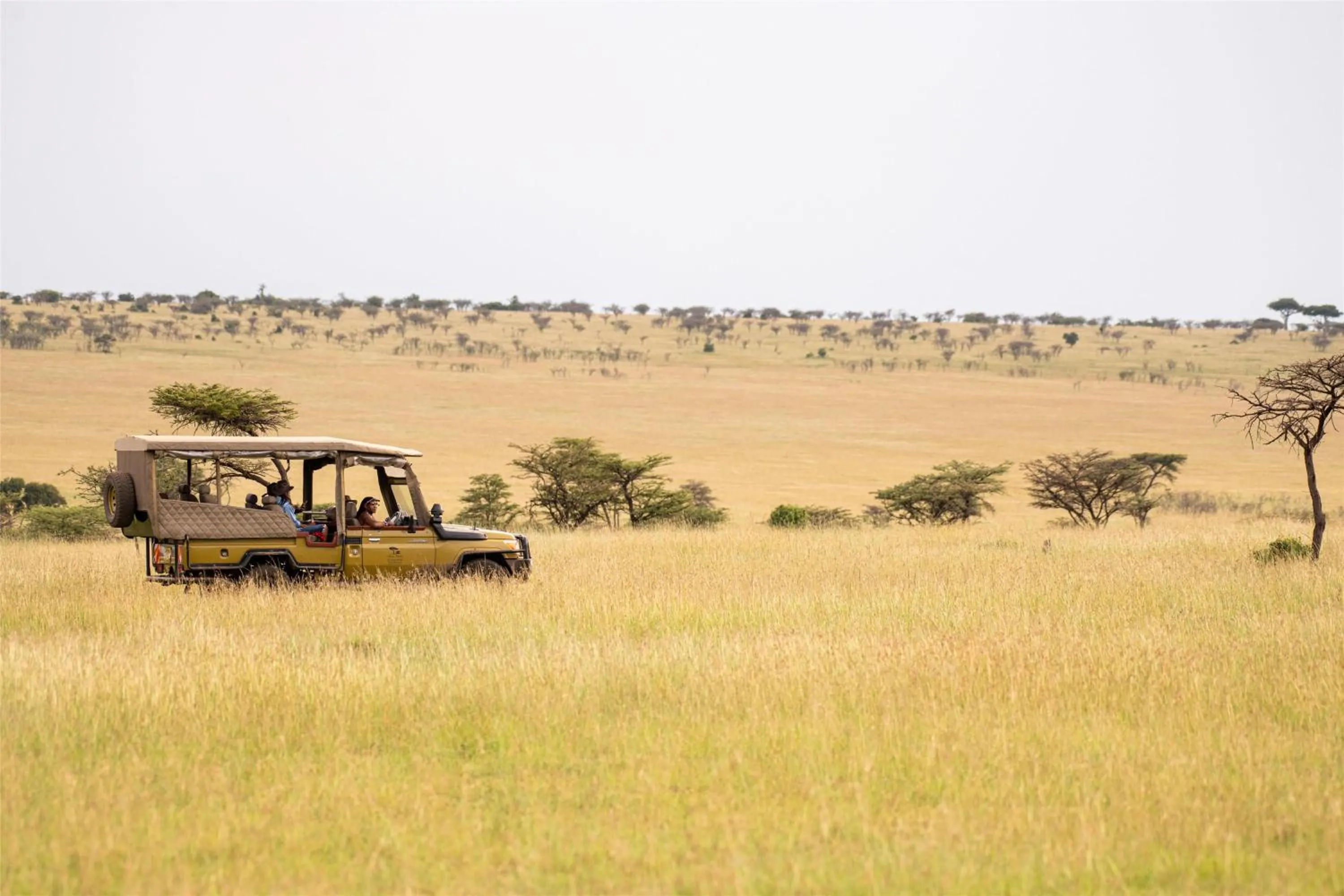 Other in Olare Mara Kempinski