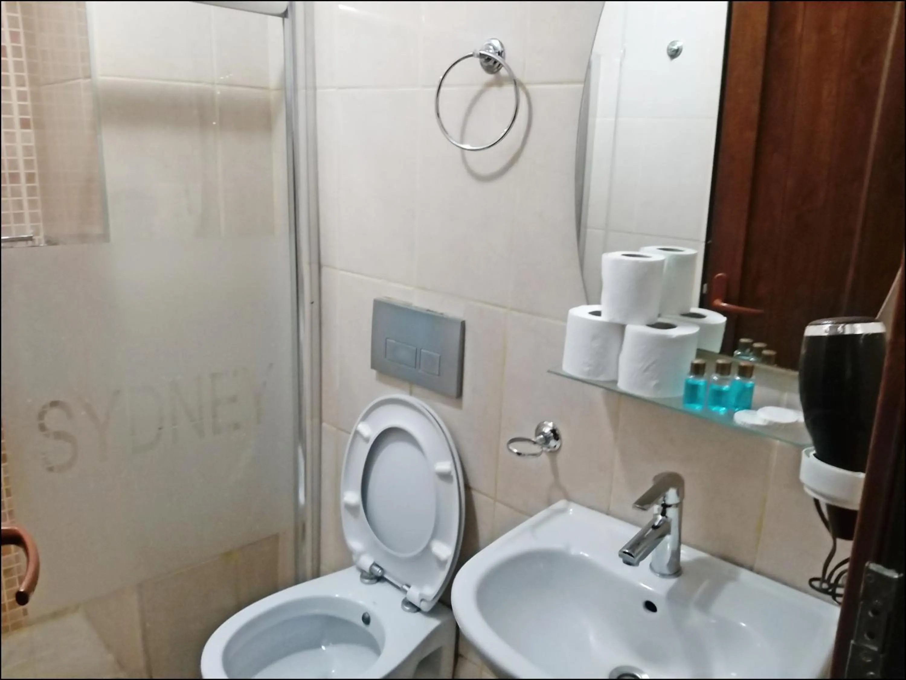 Toilet in Istanbul Sydney Hotel