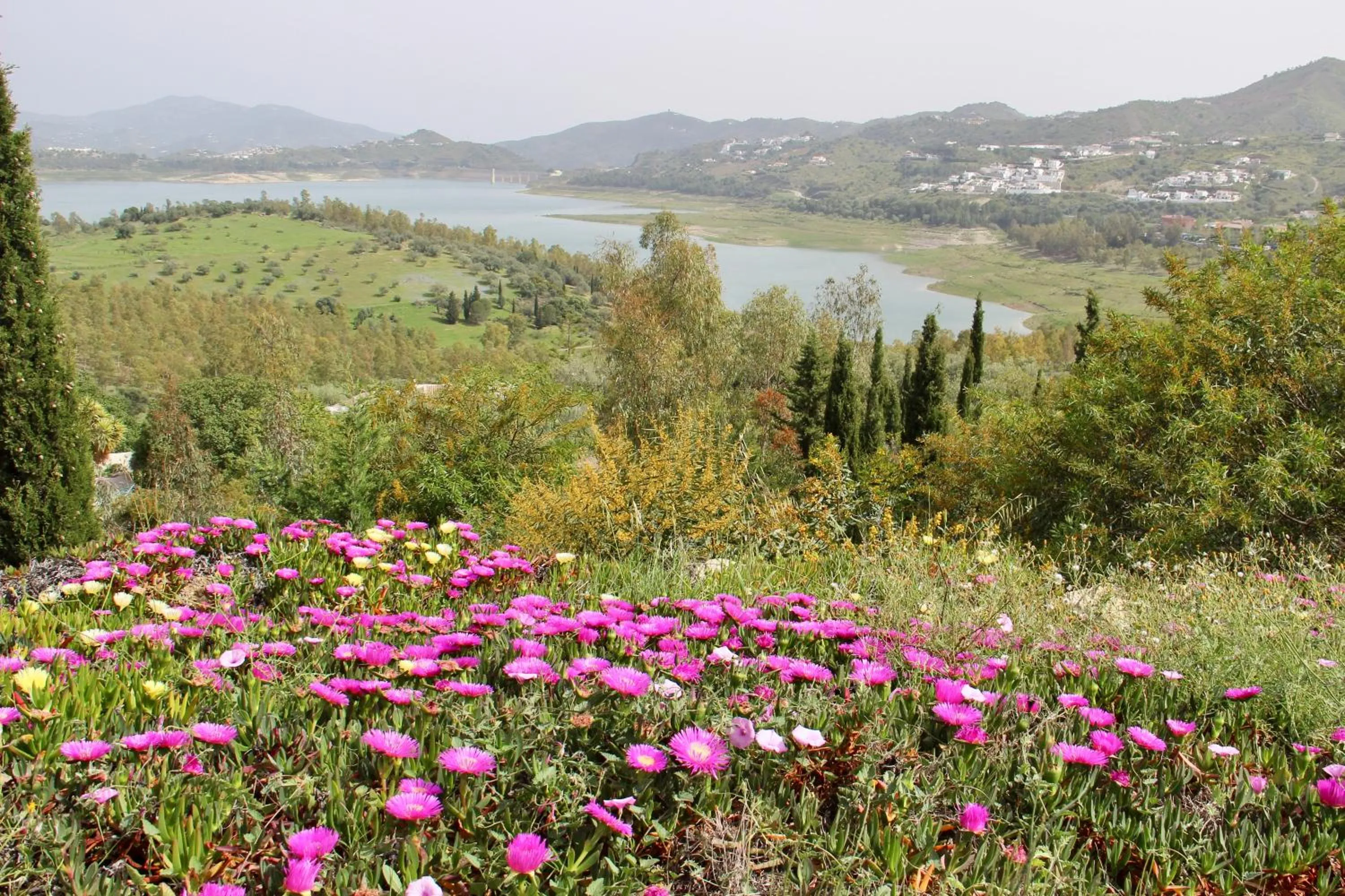 Natural landscape in Casa nuestro sueño