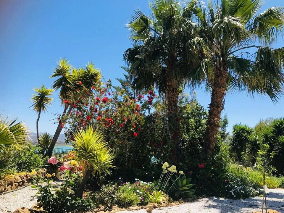 Garden in Casa nuestro sueño