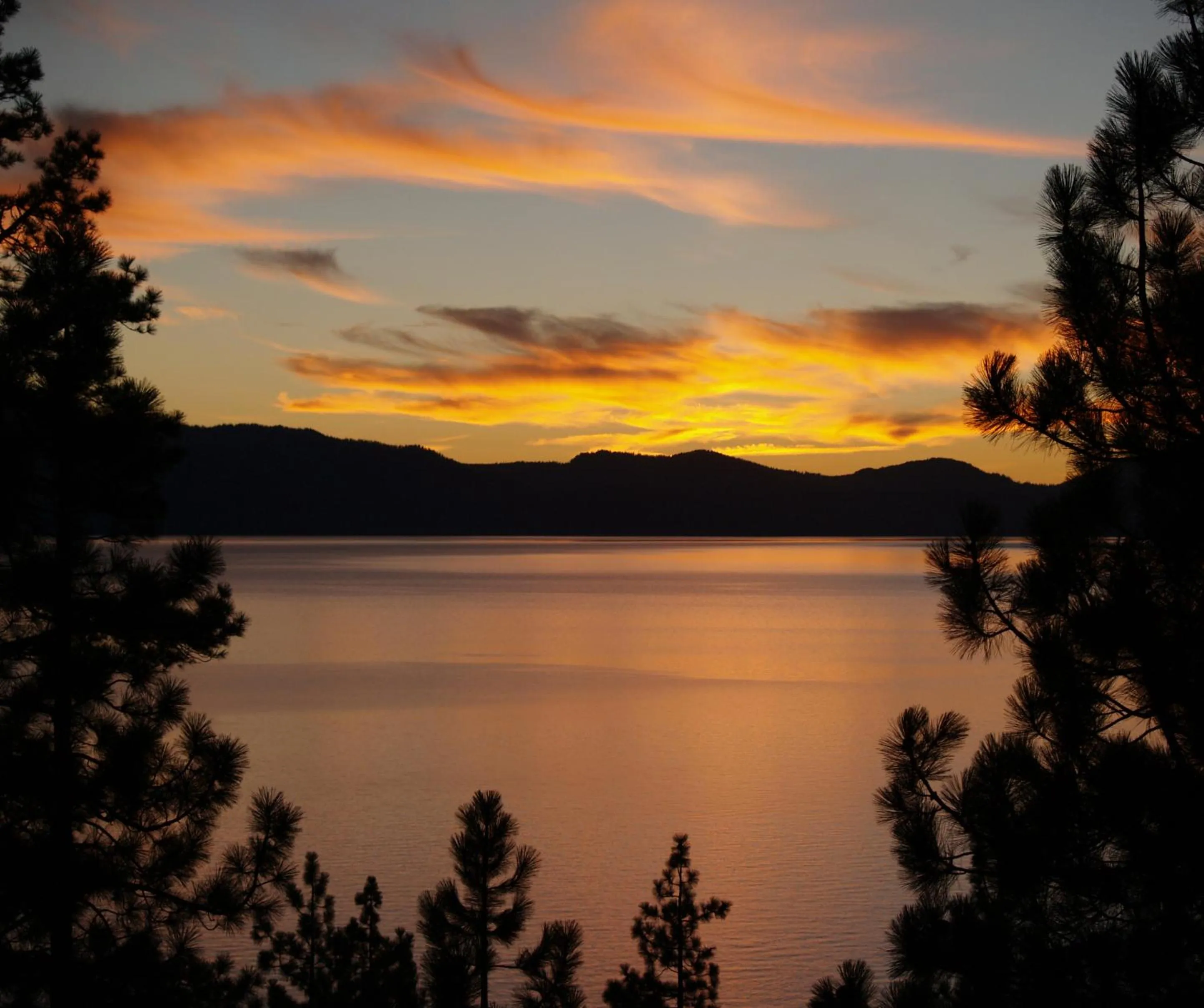 Natural landscape in Harrah's Lake Tahoe, A Caesars Destination