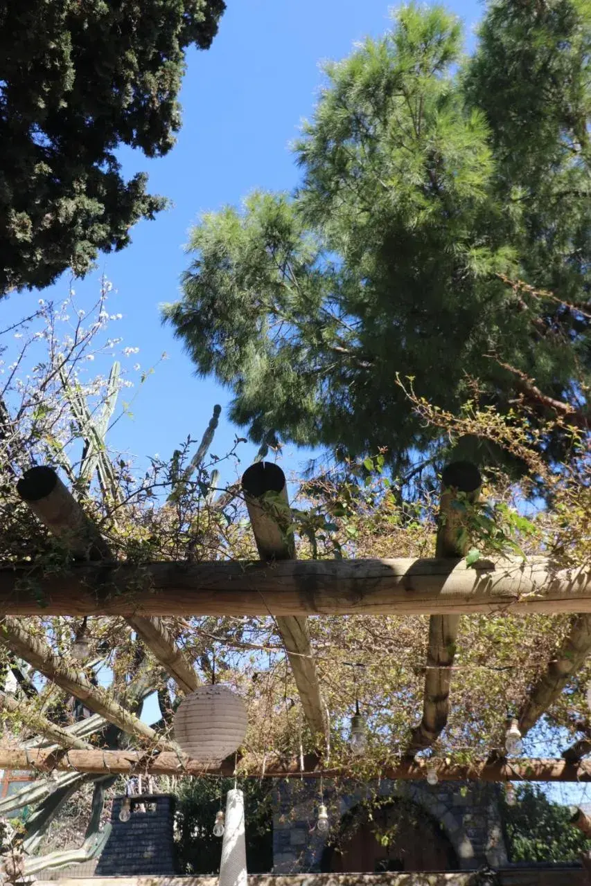 Deluxe Double Room in Ha La Bodrum Deluxe Double Room in Ha La Bodrum