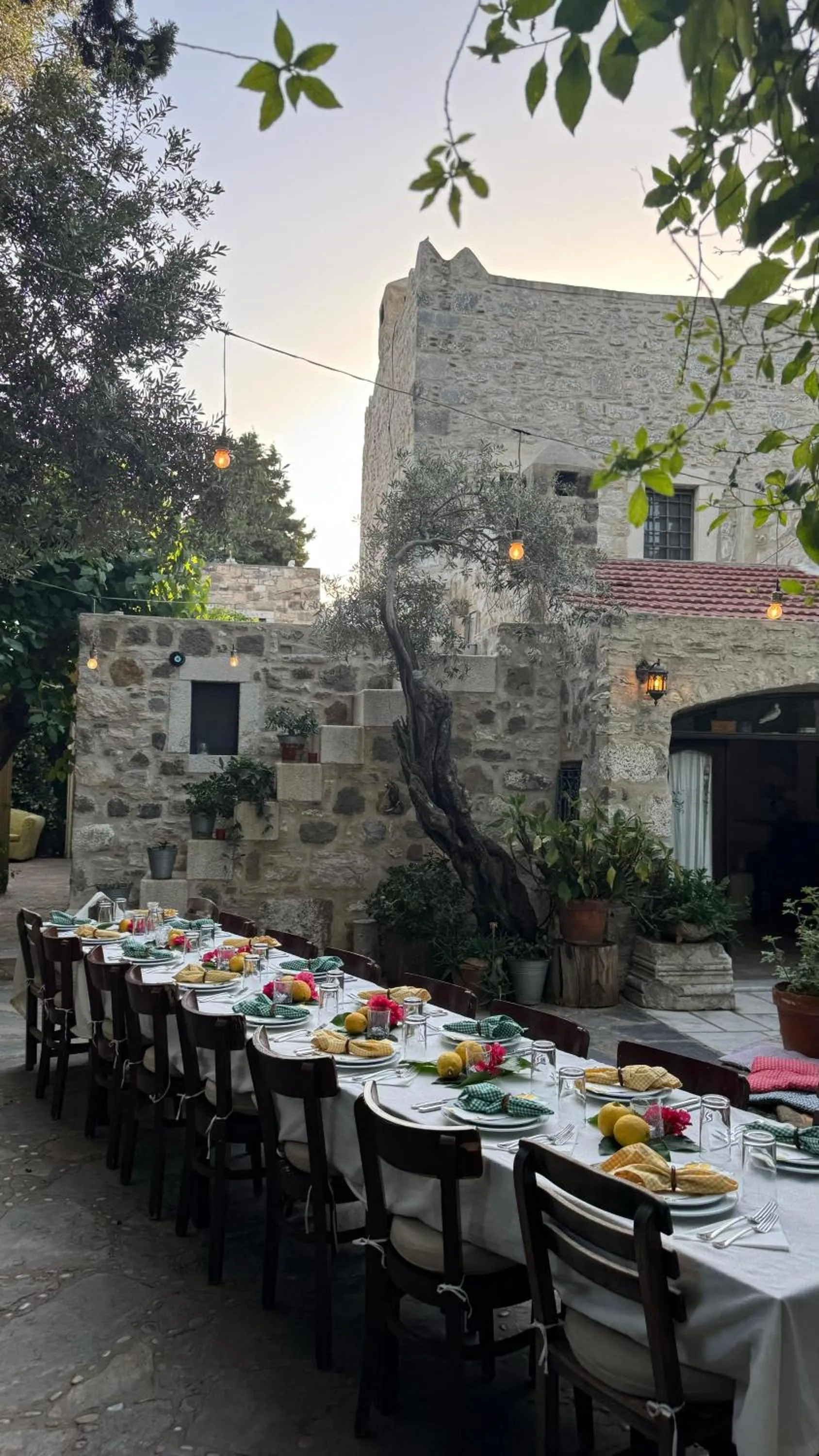 Restaurant/places to eat in Ha La Bodrum