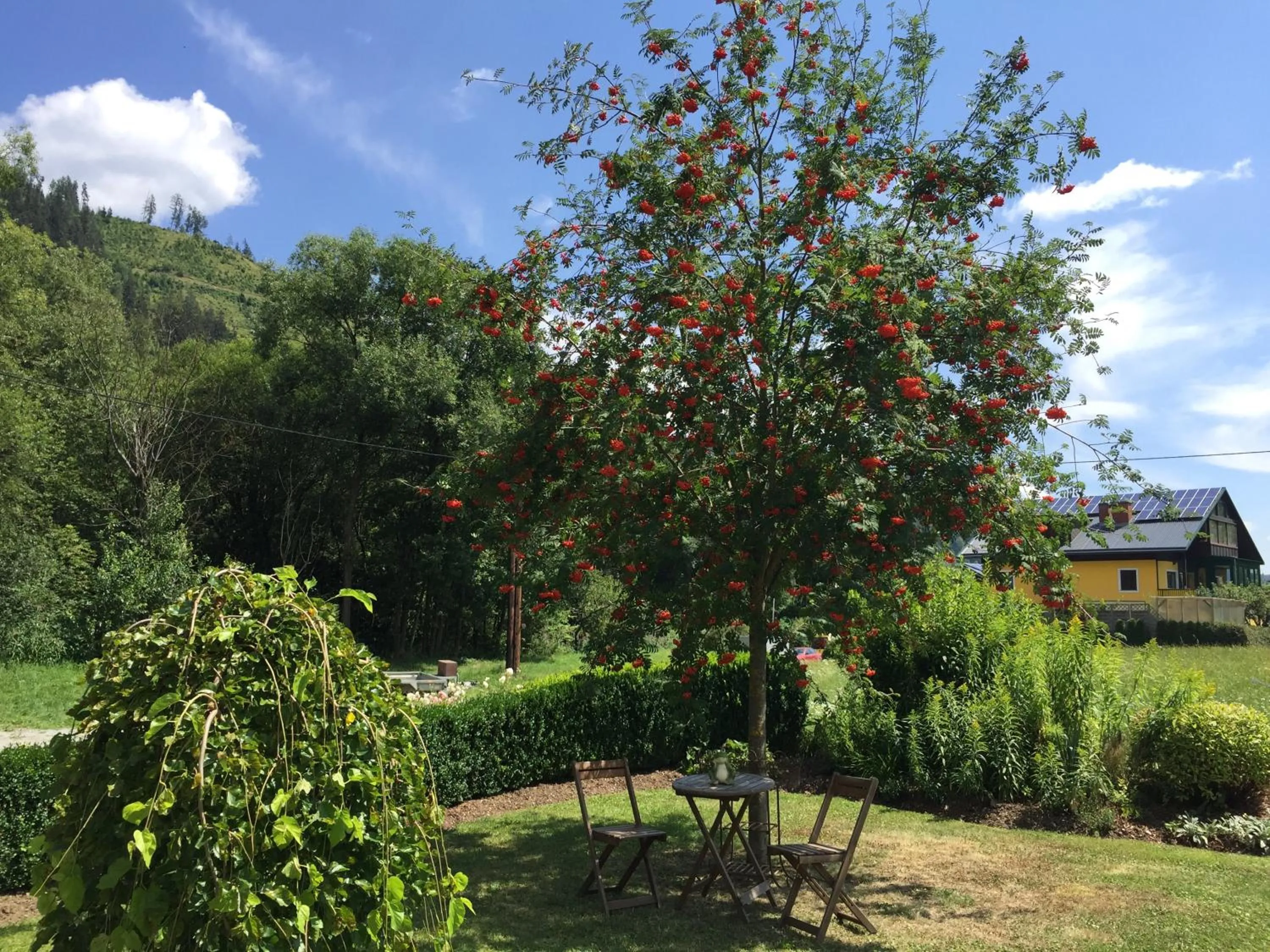Garden view in Landhaus am Bach
