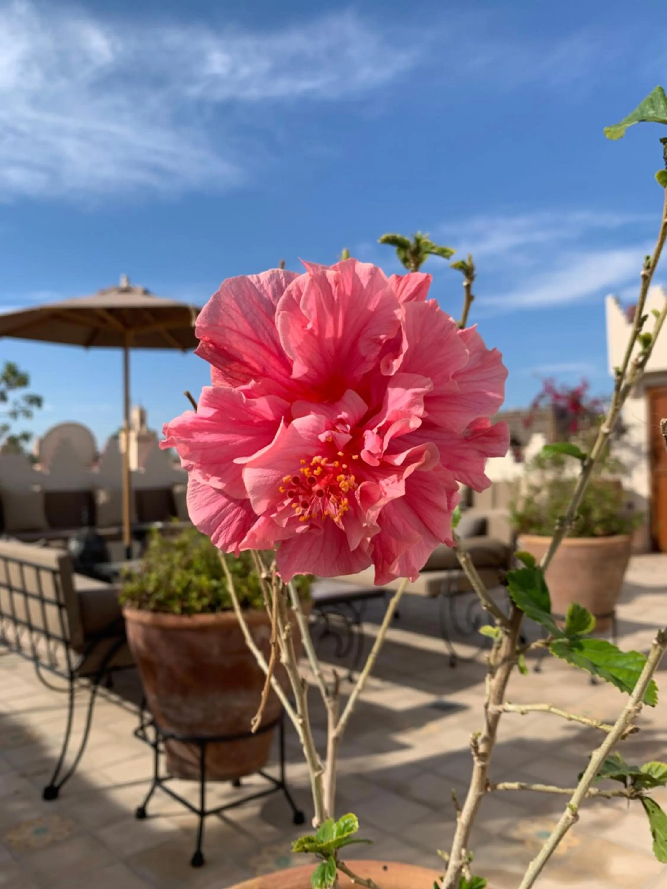 Spring in La Claire Fontaine