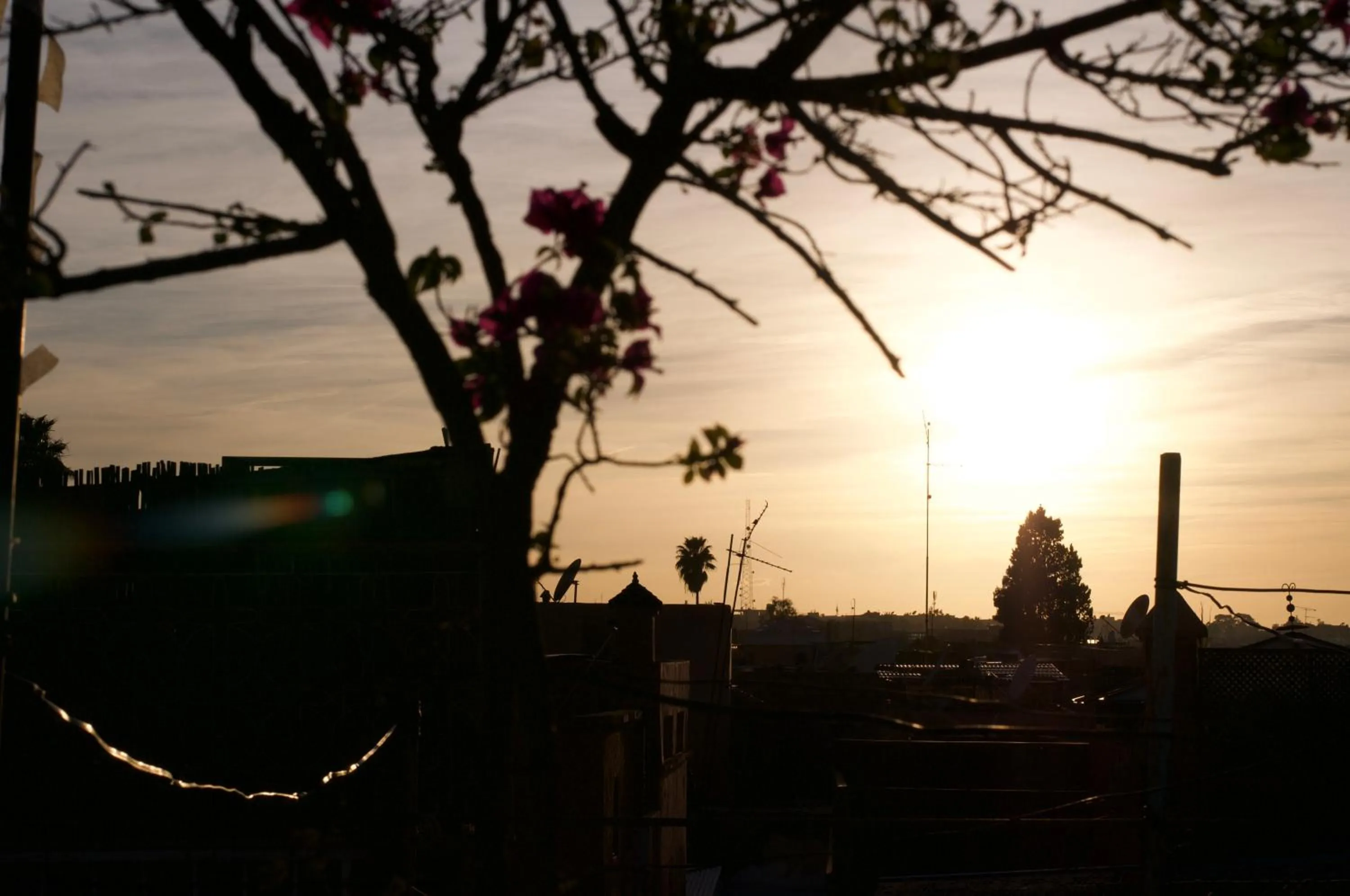 View (from property/room) in La Claire Fontaine
