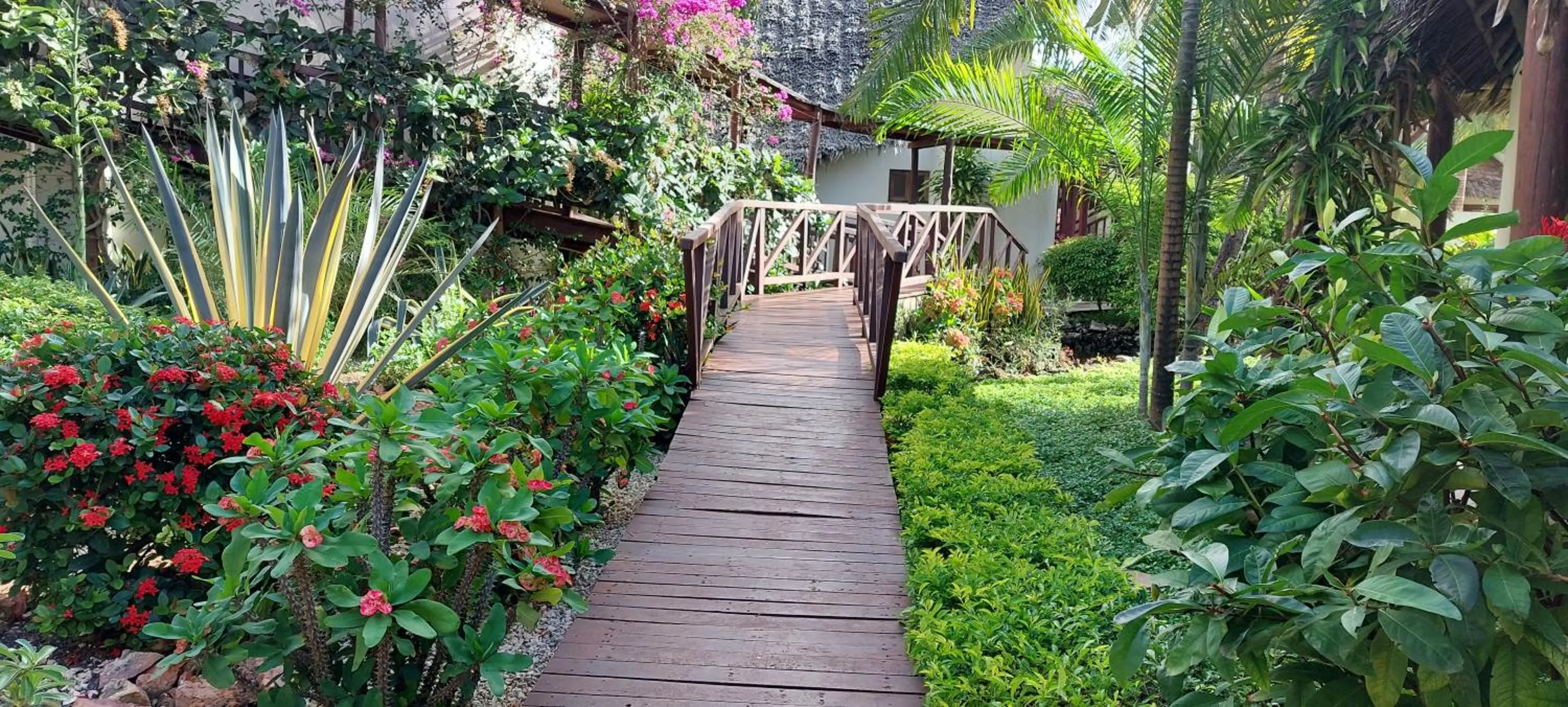 Garden in Kena Beach Hotel