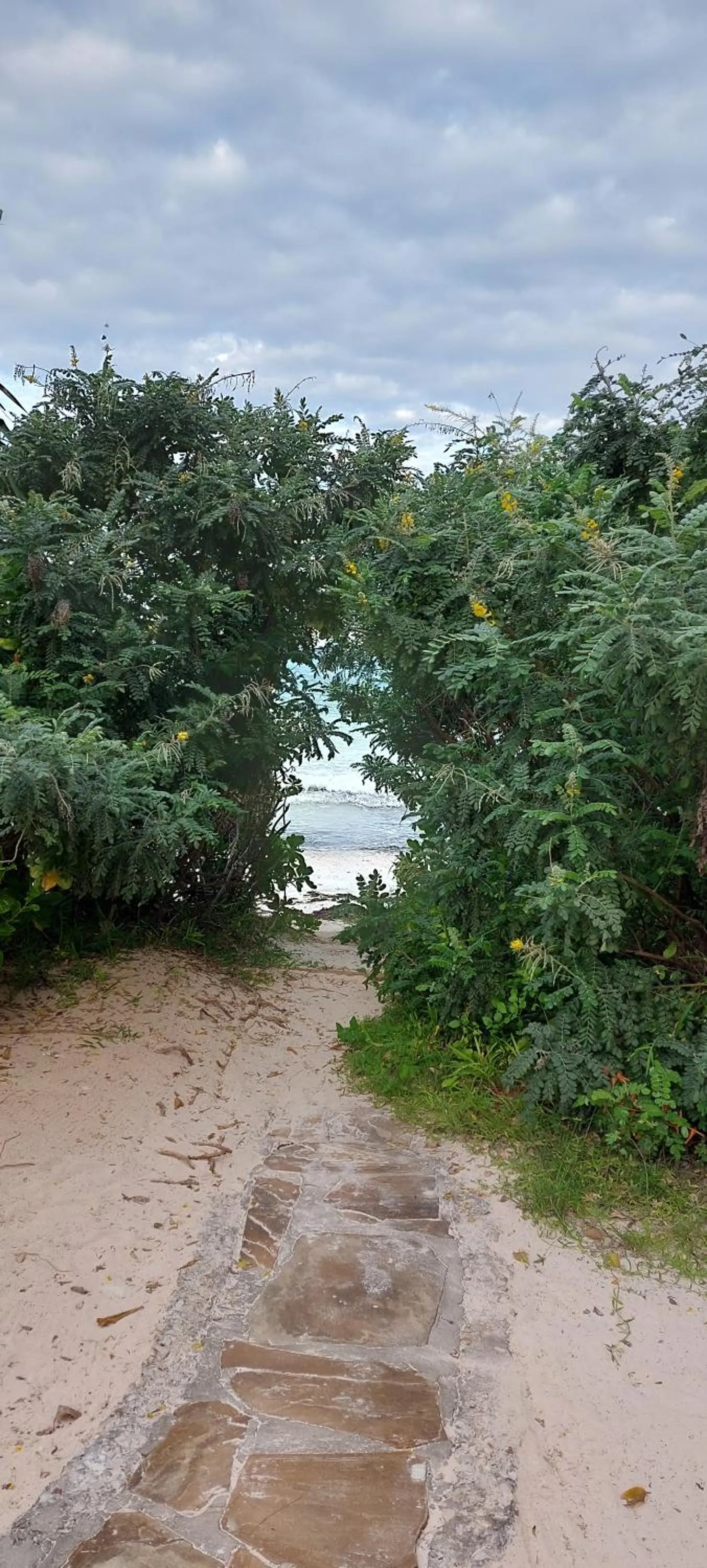 Natural landscape in Kena Beach Hotel