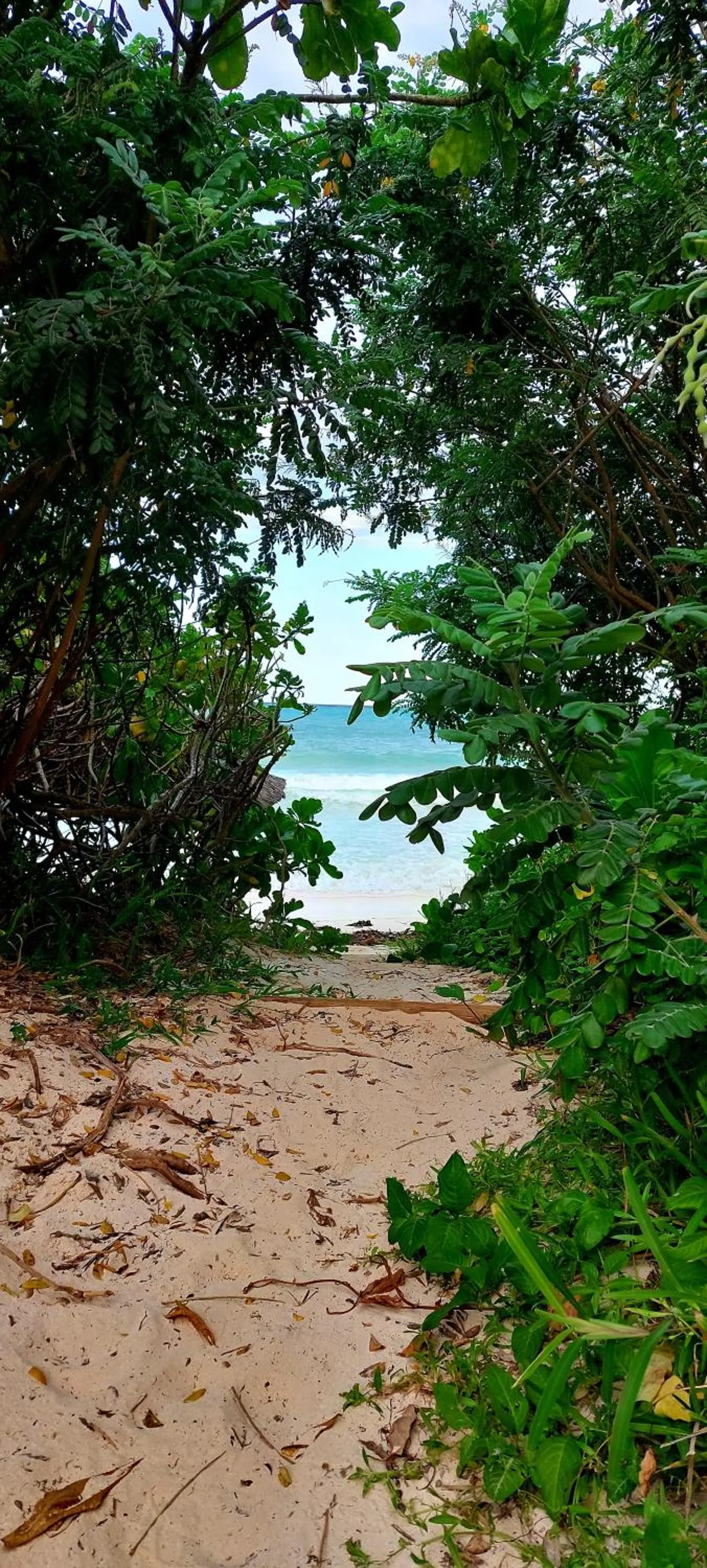 Natural landscape in Kena Beach Hotel