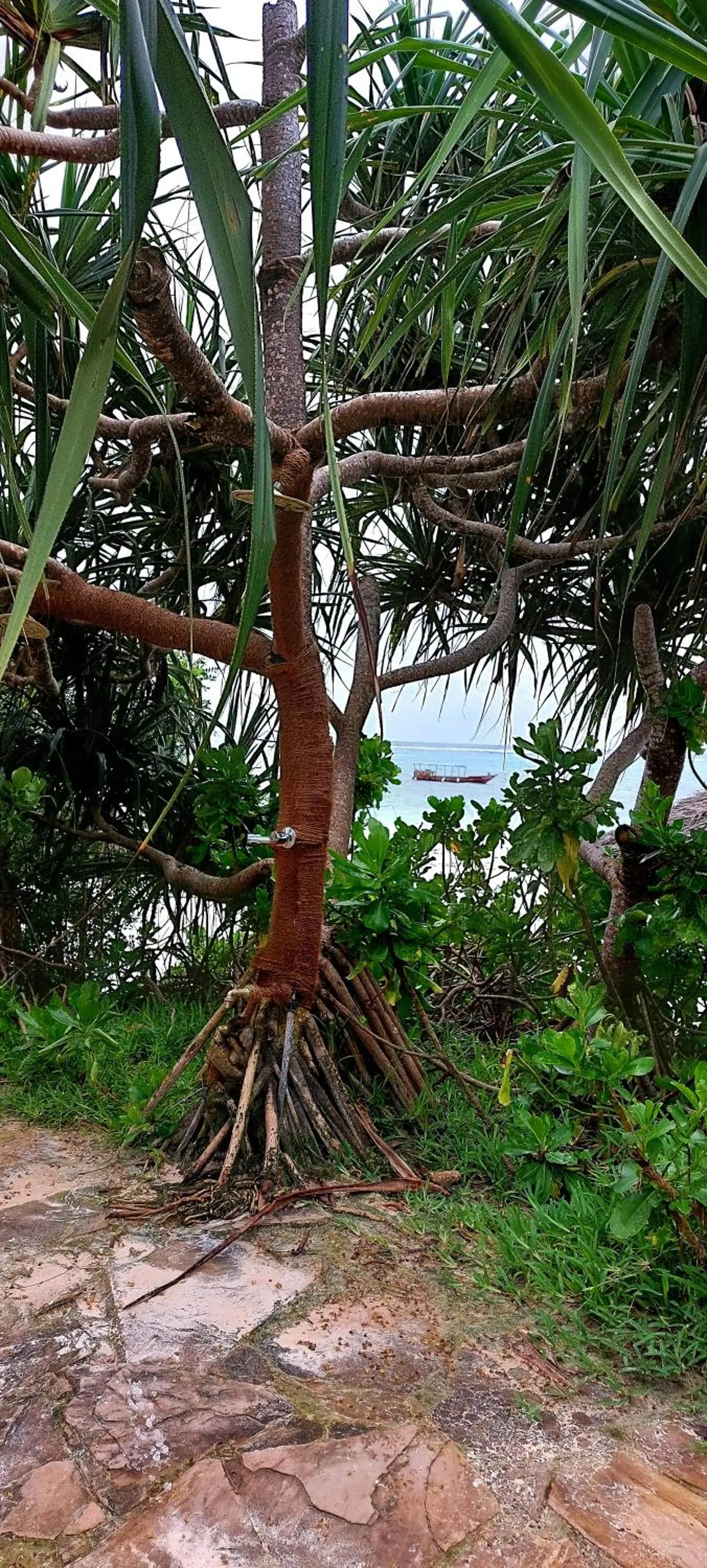 Garden in Kena Beach Hotel