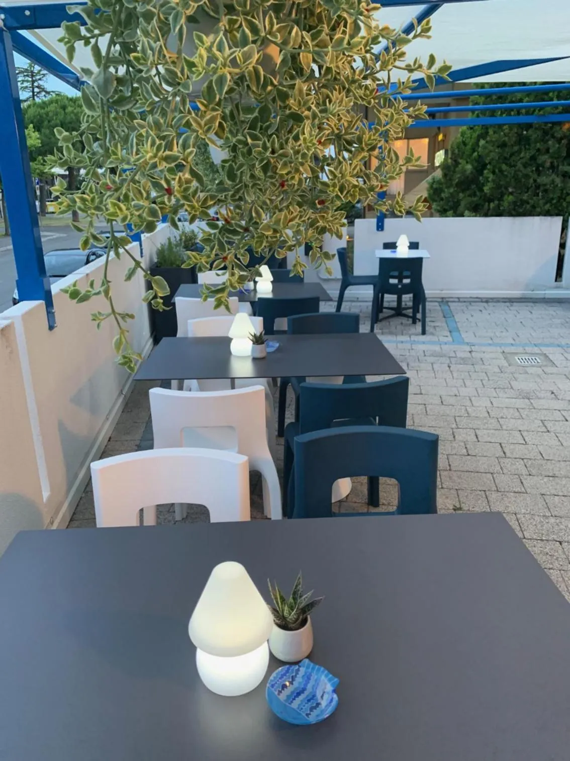 Garden in Apart Hotel Atlantic