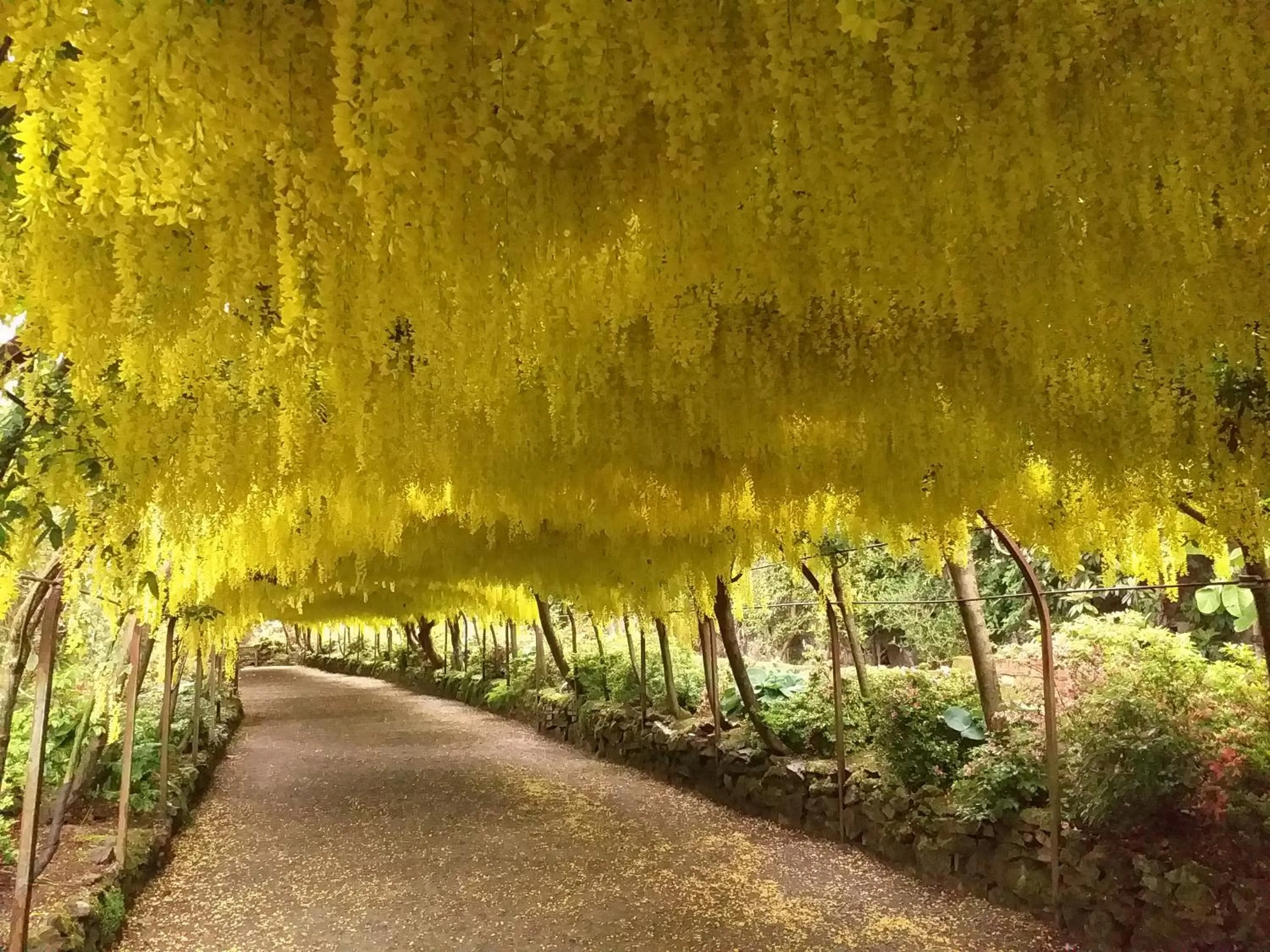 Natural landscape in Colbourn Bed and Breakfast