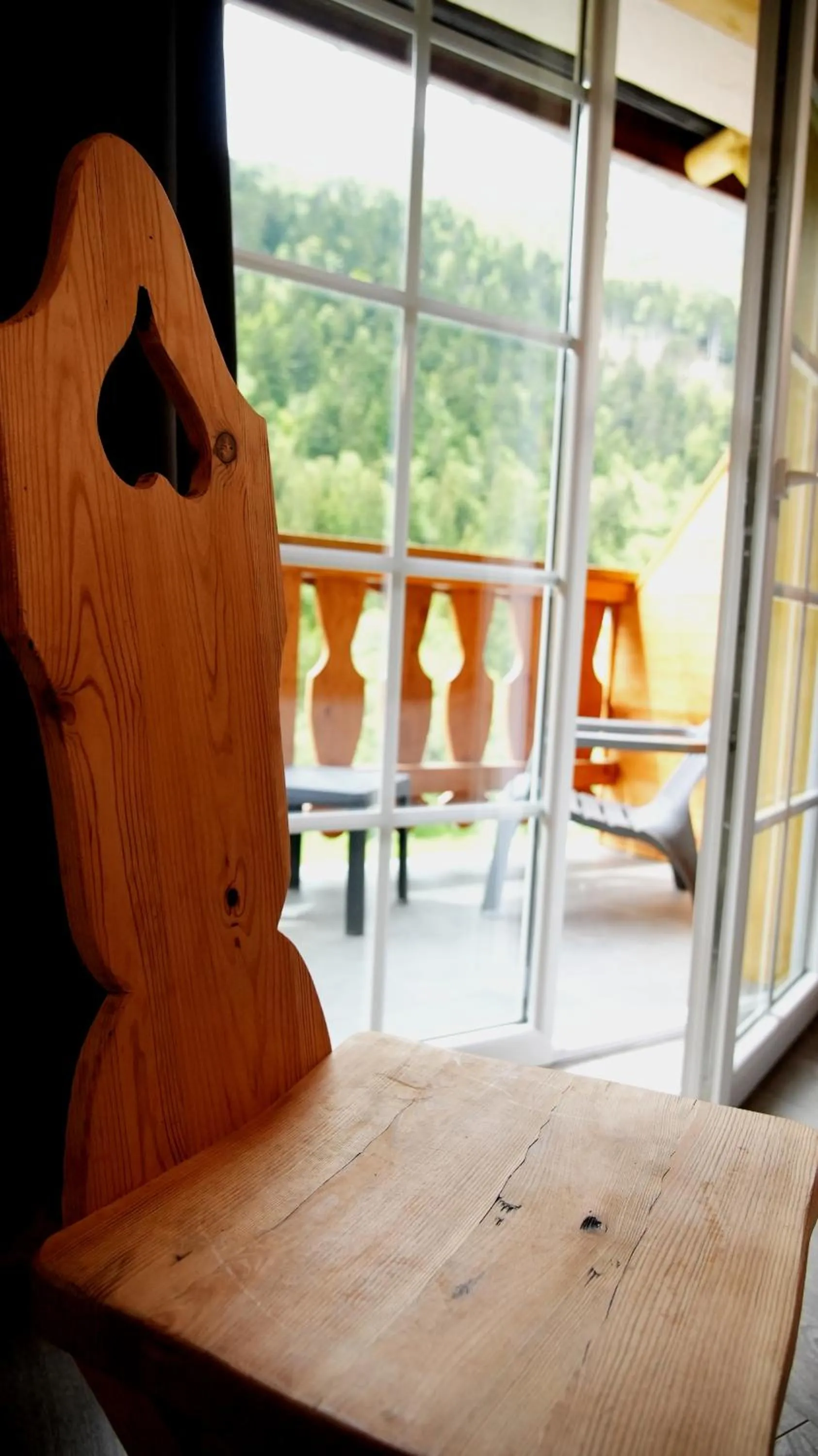 View (from property/room) in La Sapinière St Lary Soulan