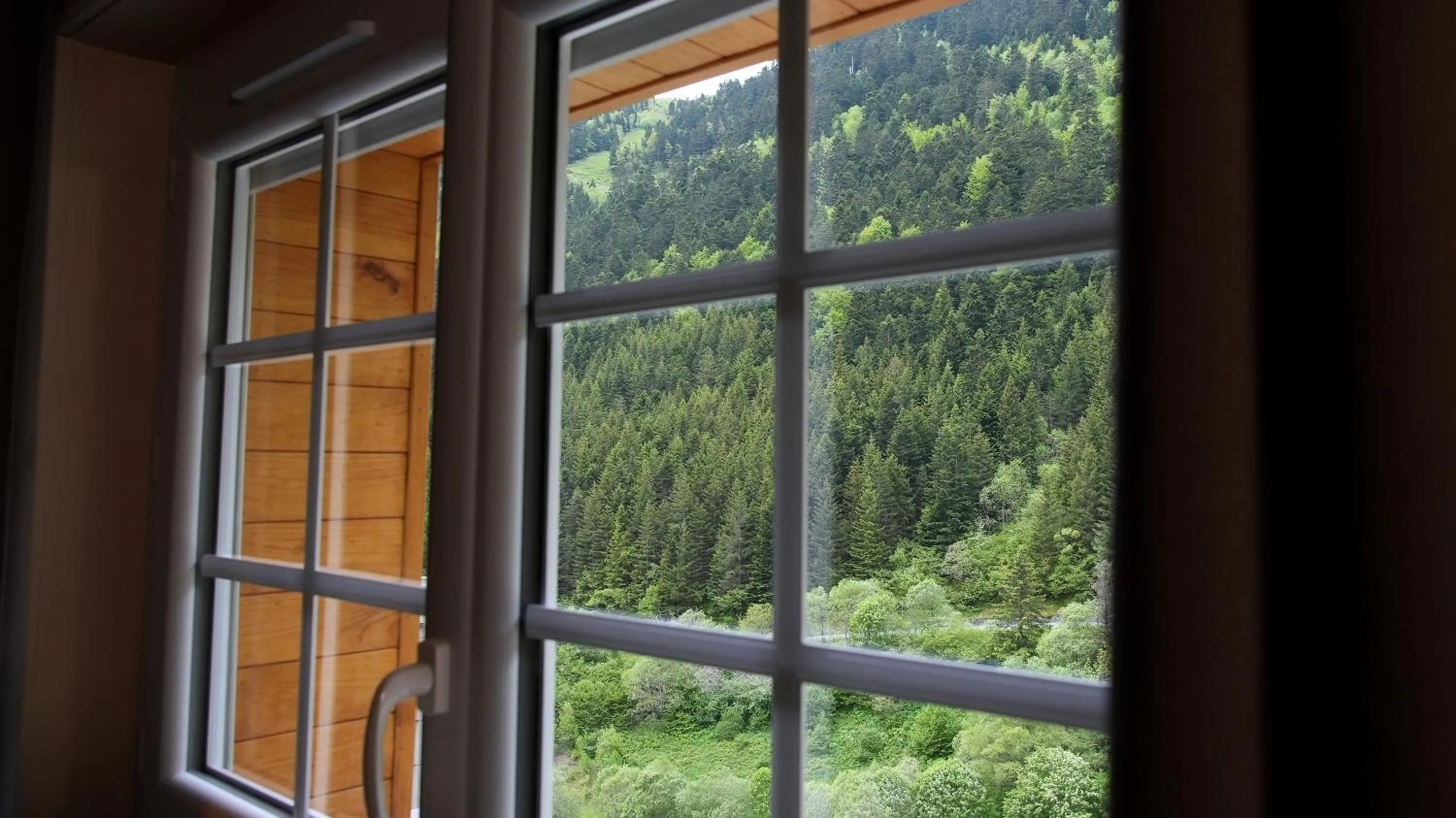 Spring in La Sapinière St Lary Soulan