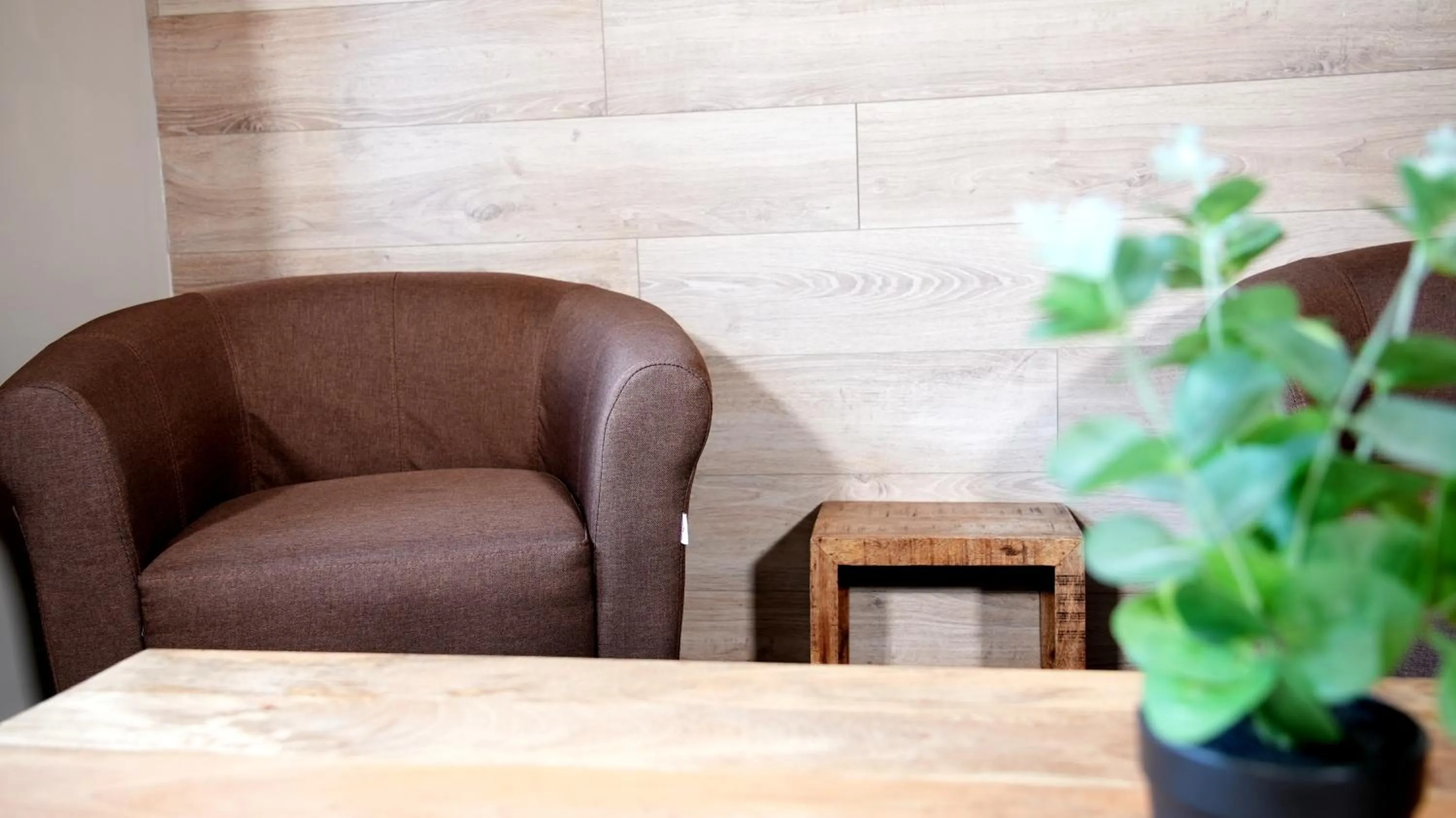Living room in La Sapinière St Lary Soulan