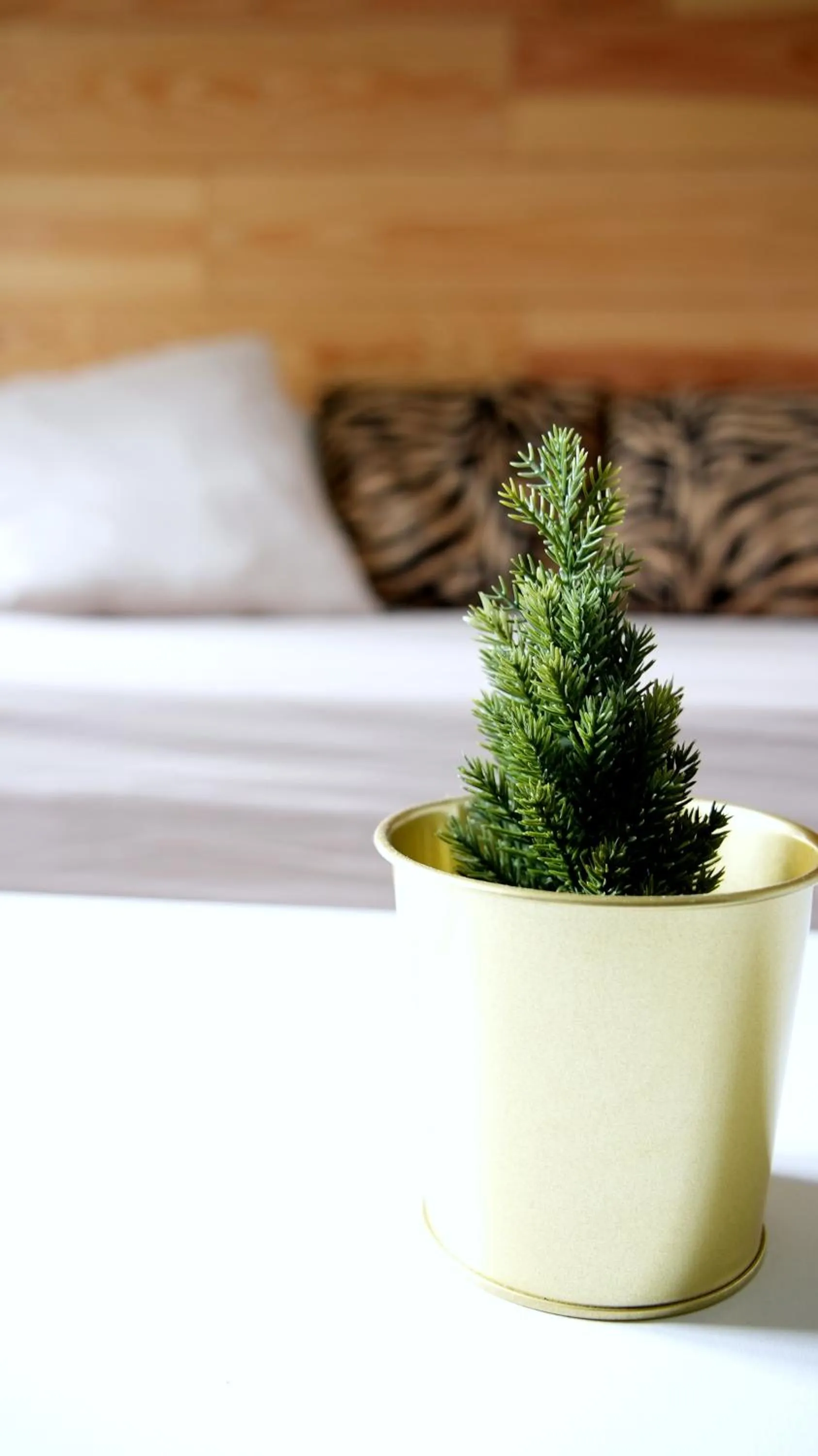 Decorative detail in La Sapinière St Lary Soulan