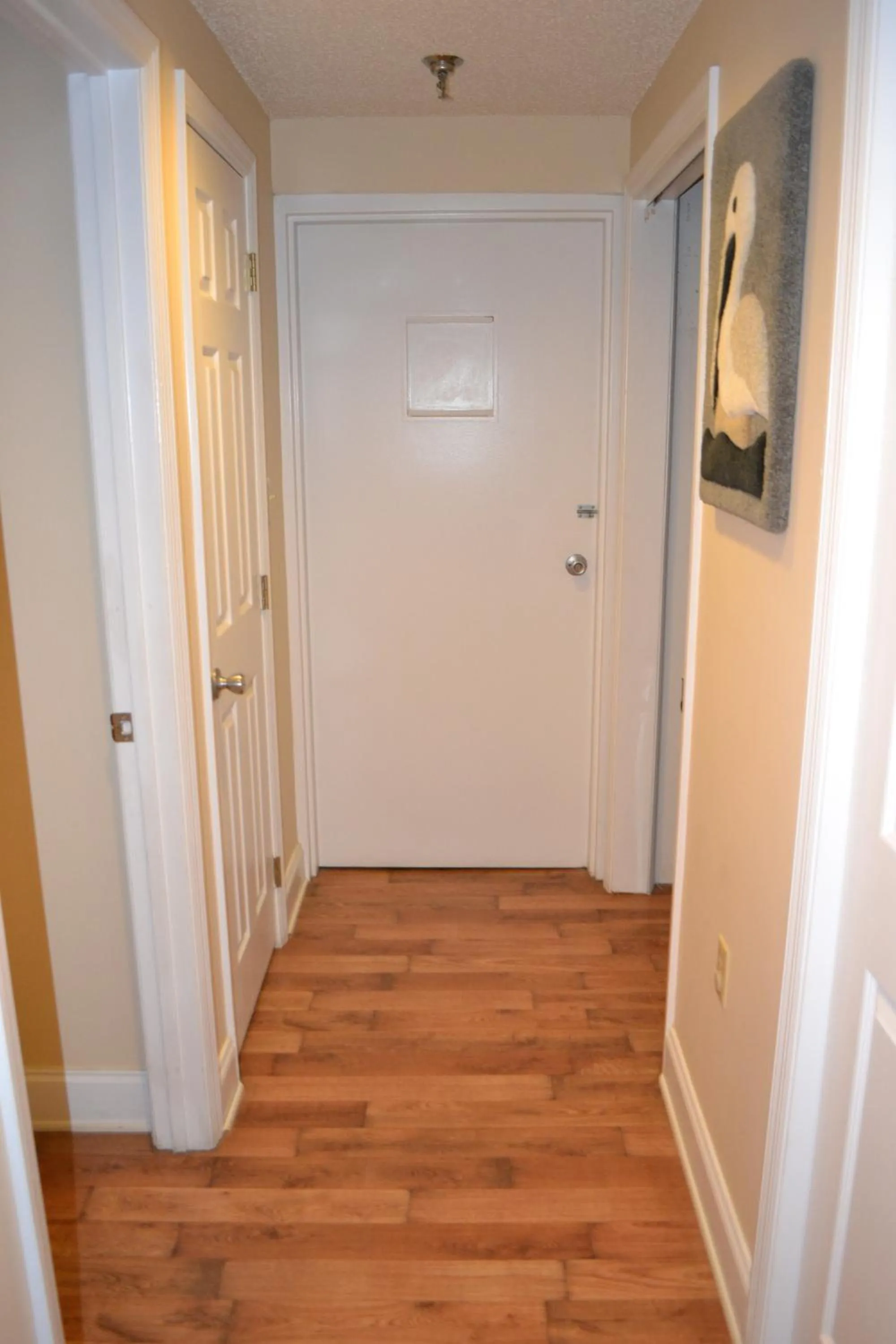 River Place Condos #411 3BD