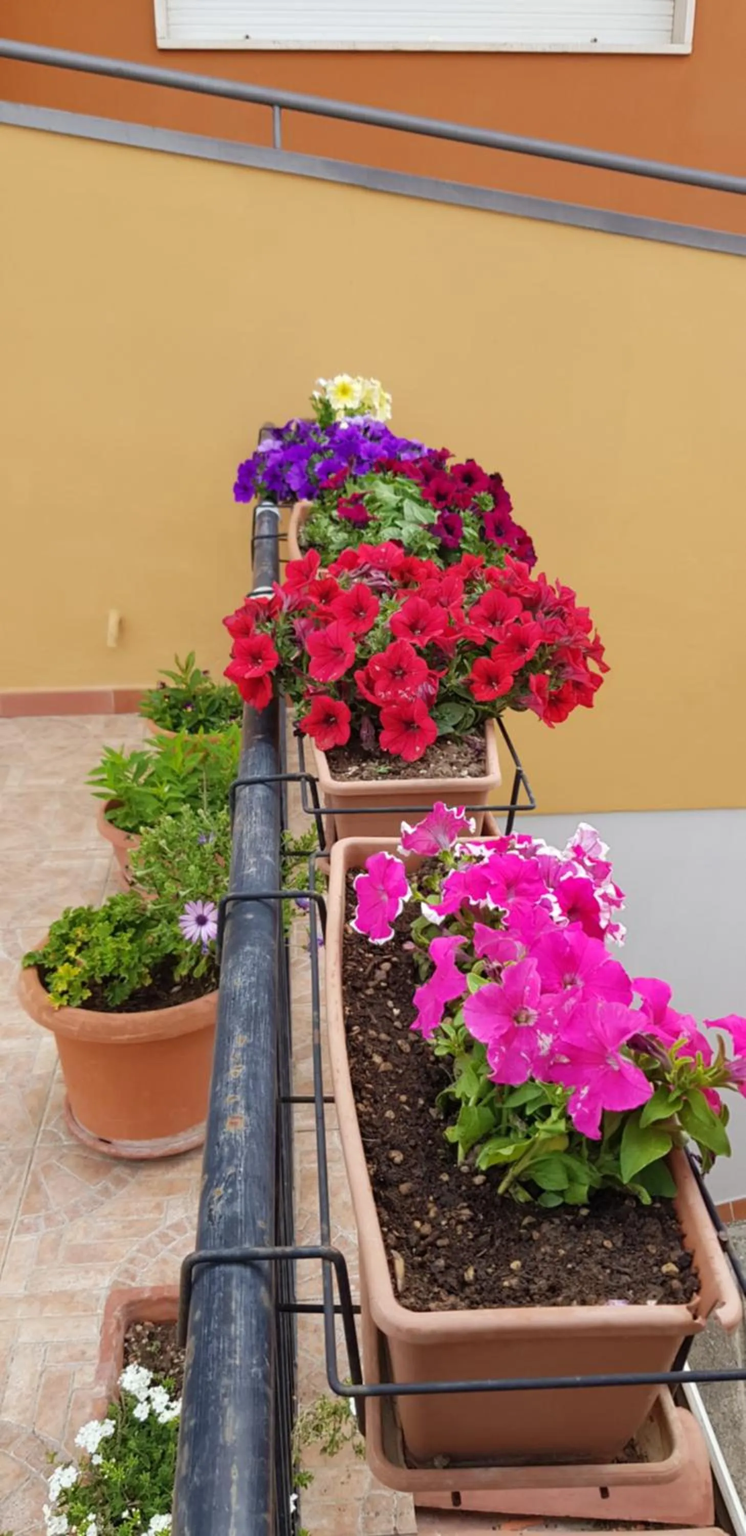 Balcony/Terrace in Sassi's Loft