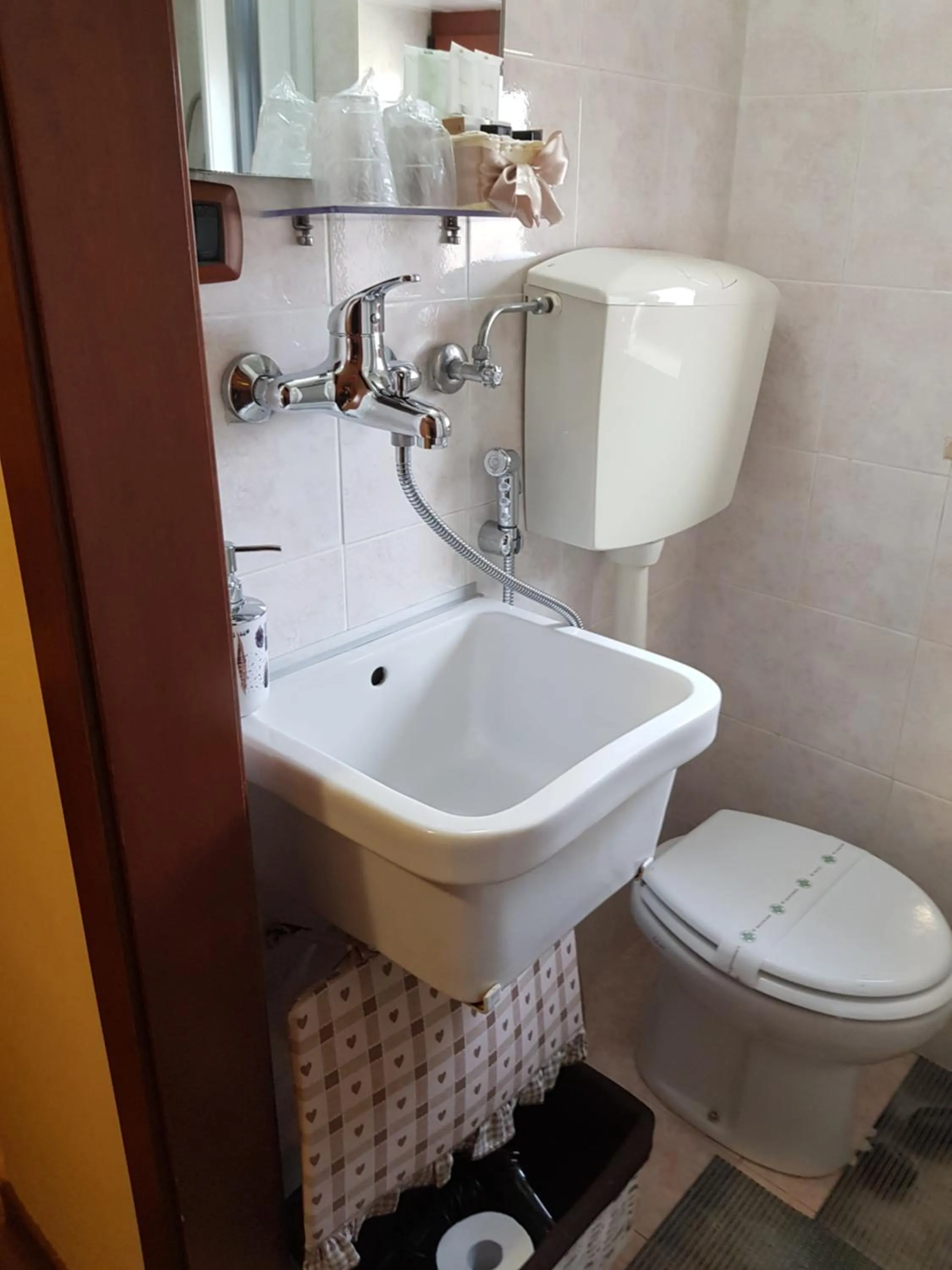 Toilet in Sassi's Loft