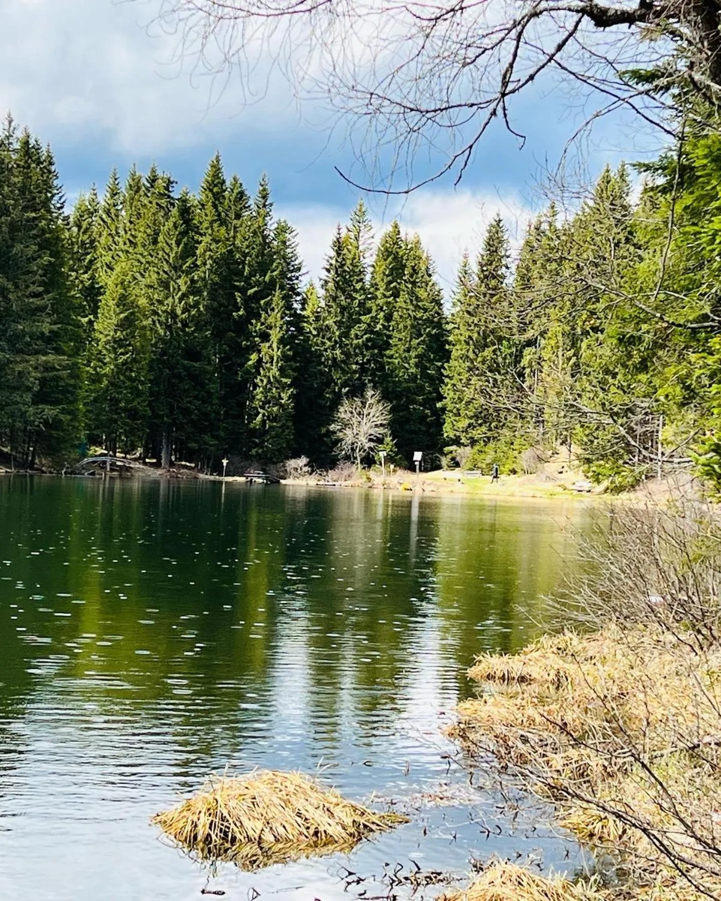 Natural landscape in Pension Lambrecht