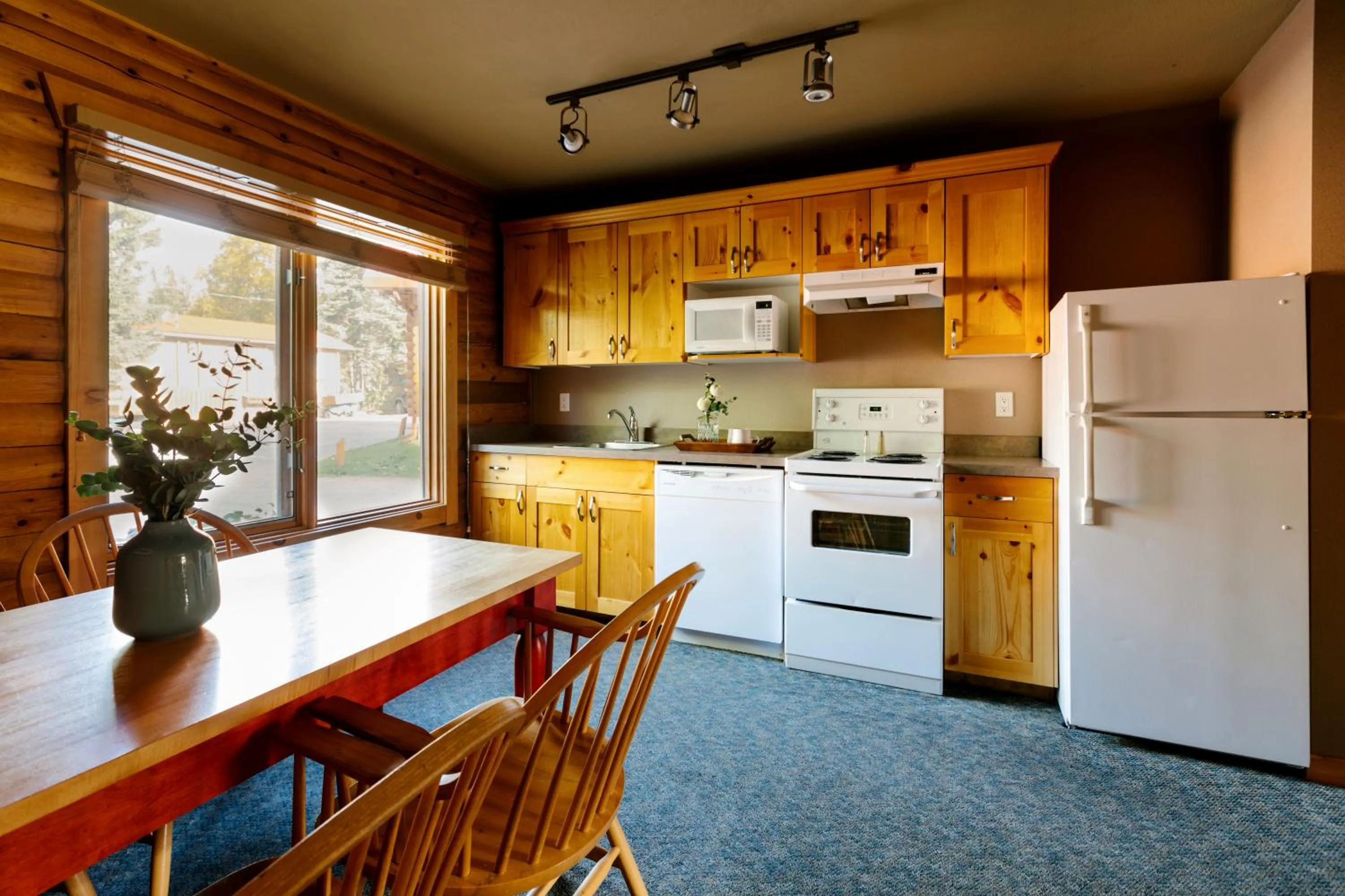 Kitchen or kitchenette in Miette Mountain Cabins