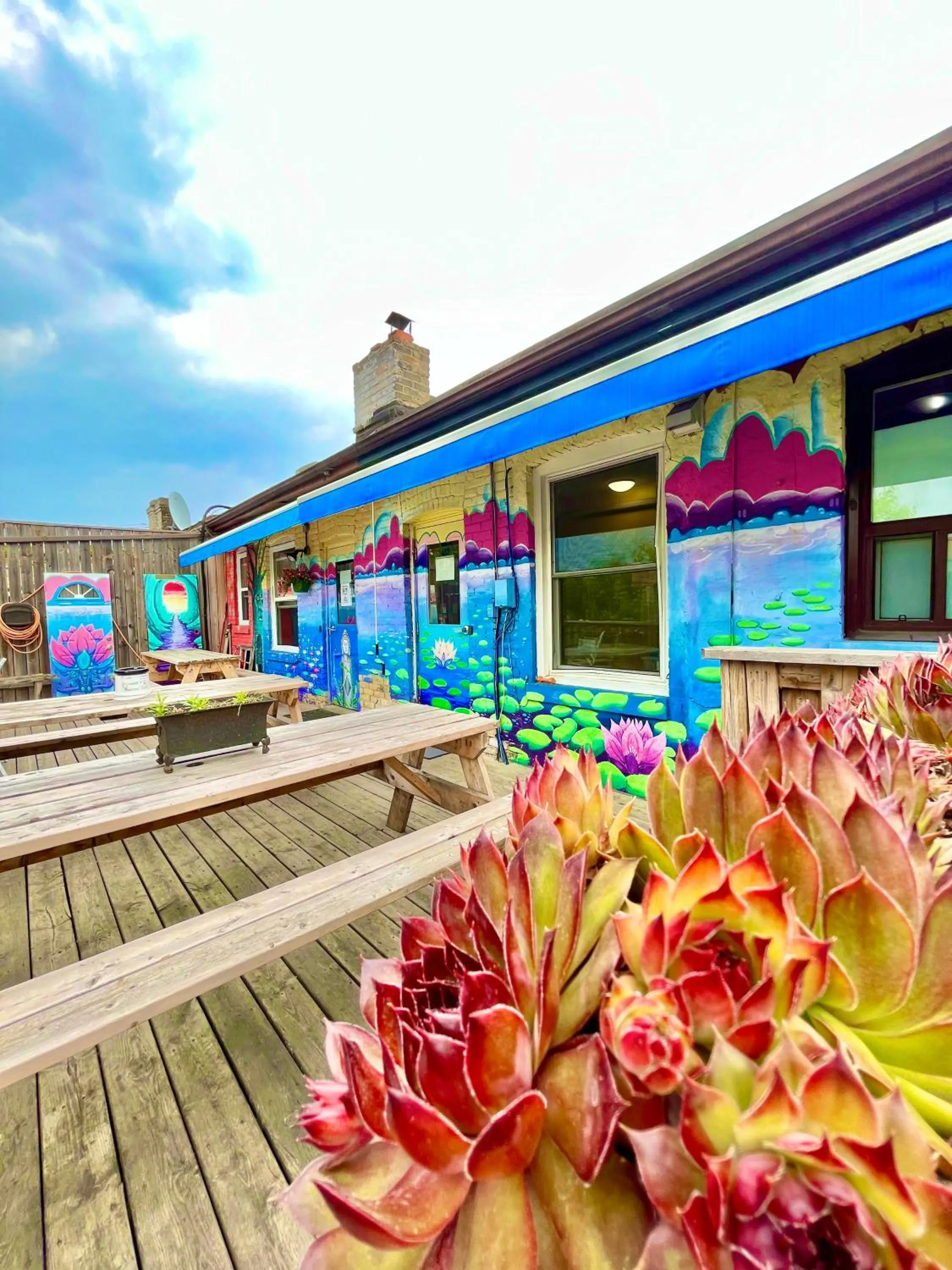 Garden view in The Only Backpacker's Inn