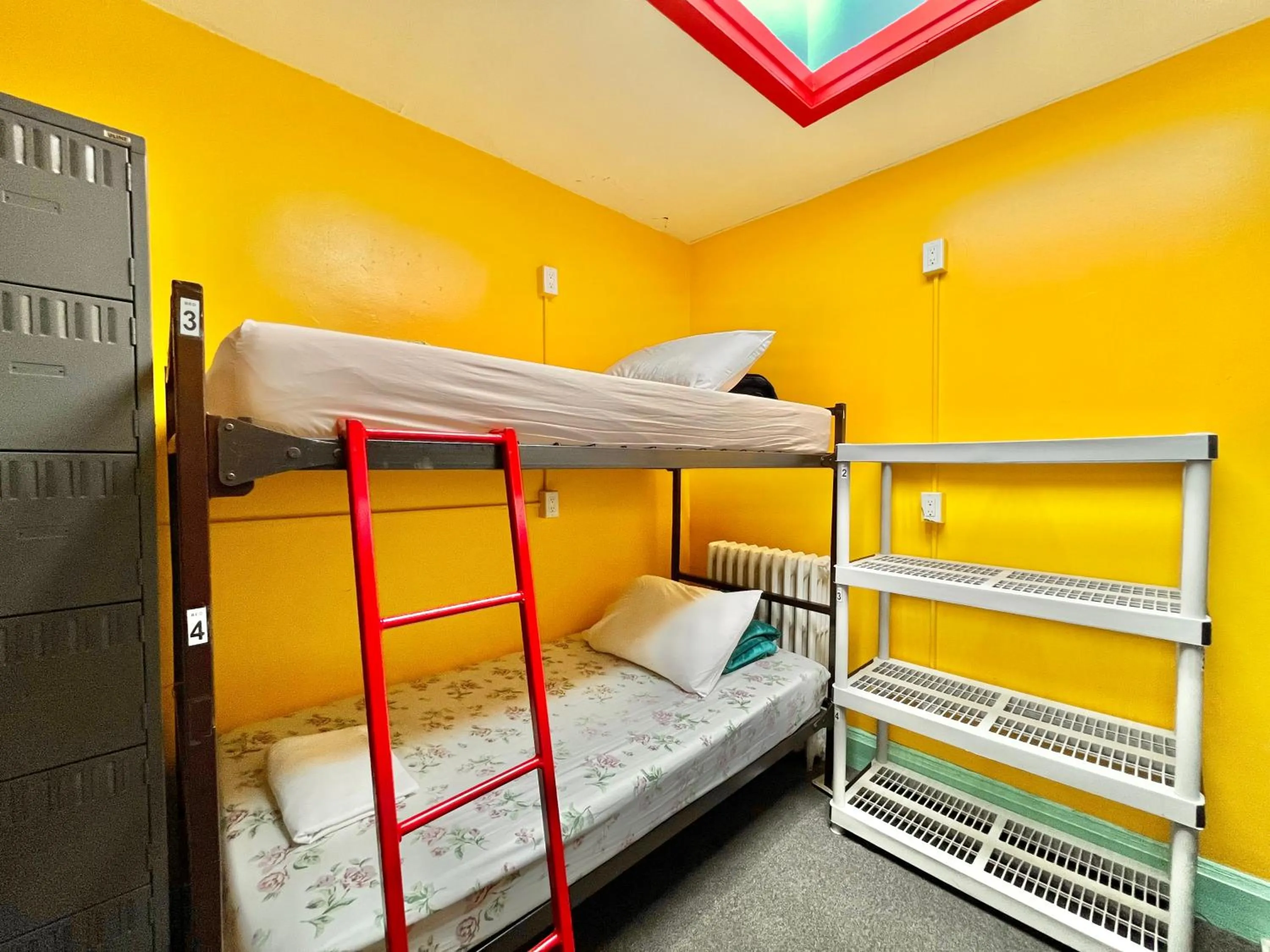 bunk bed, Bed in The Only Backpacker's Inn