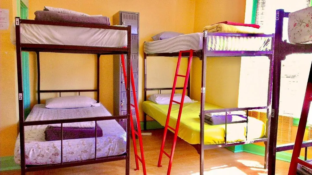 bunk bed, Bed in The Only Backpacker's Inn