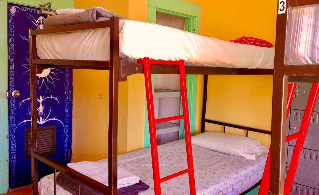 bunk bed, Bed in The Only Backpacker's Inn
