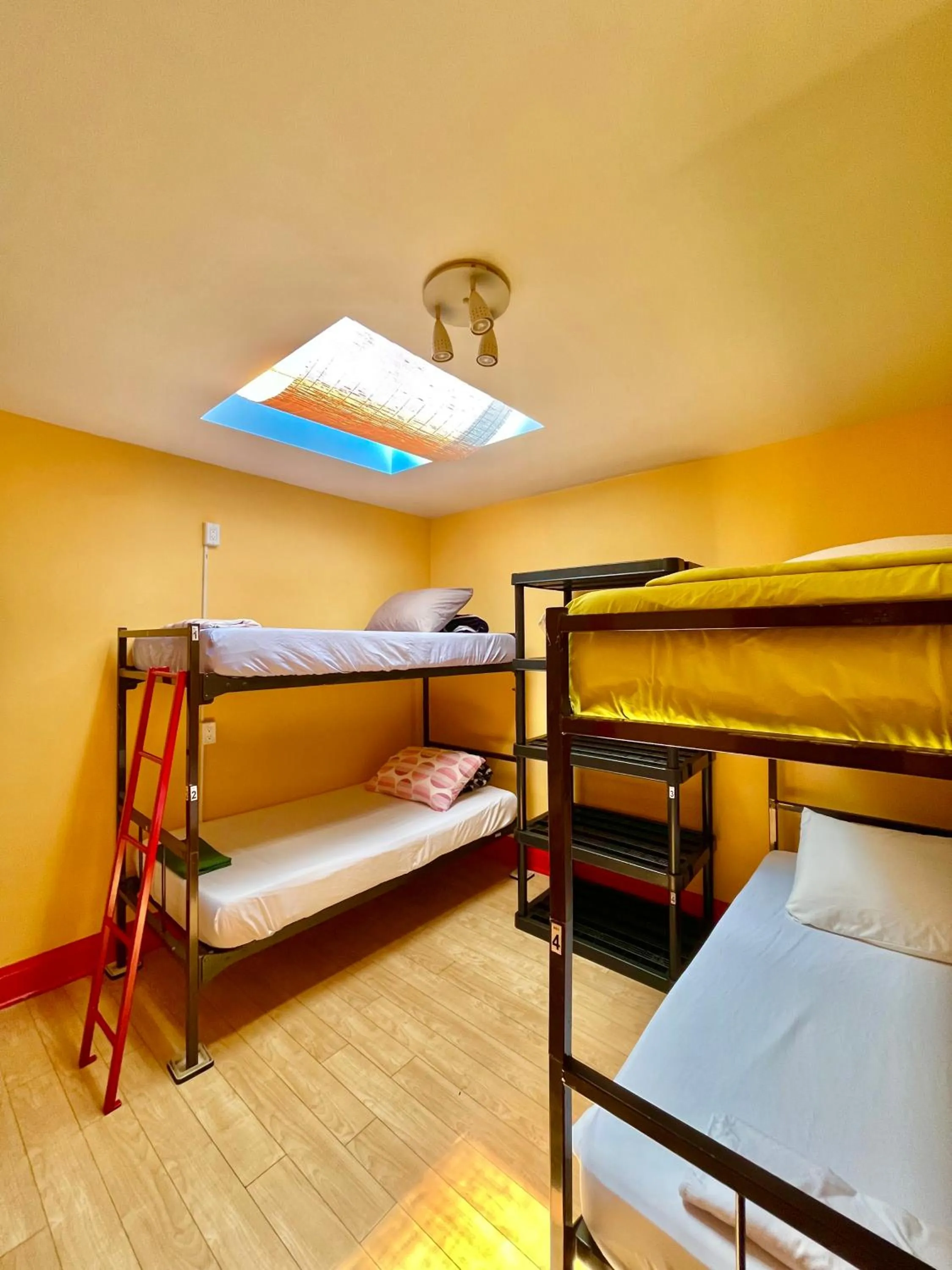 bunk bed, Bed in The Only Backpacker's Inn