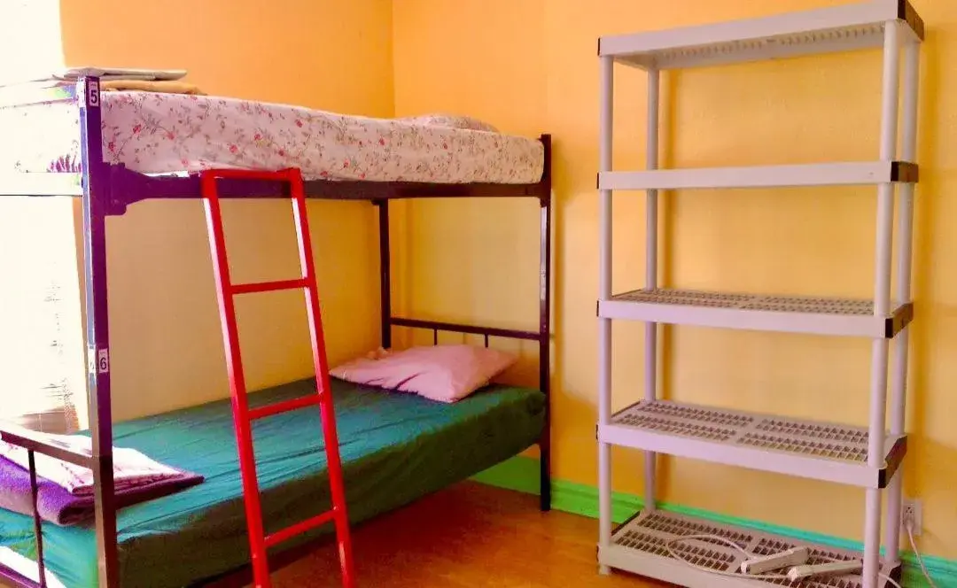 Bed in 8-Bed Mixed Dormitory Room with Shared Bathroom in The Only Backpacker's Inn Bed in 8-Bed Mixed Dormitory Room with Shared Bathroom in The Only Backpacker's Inn