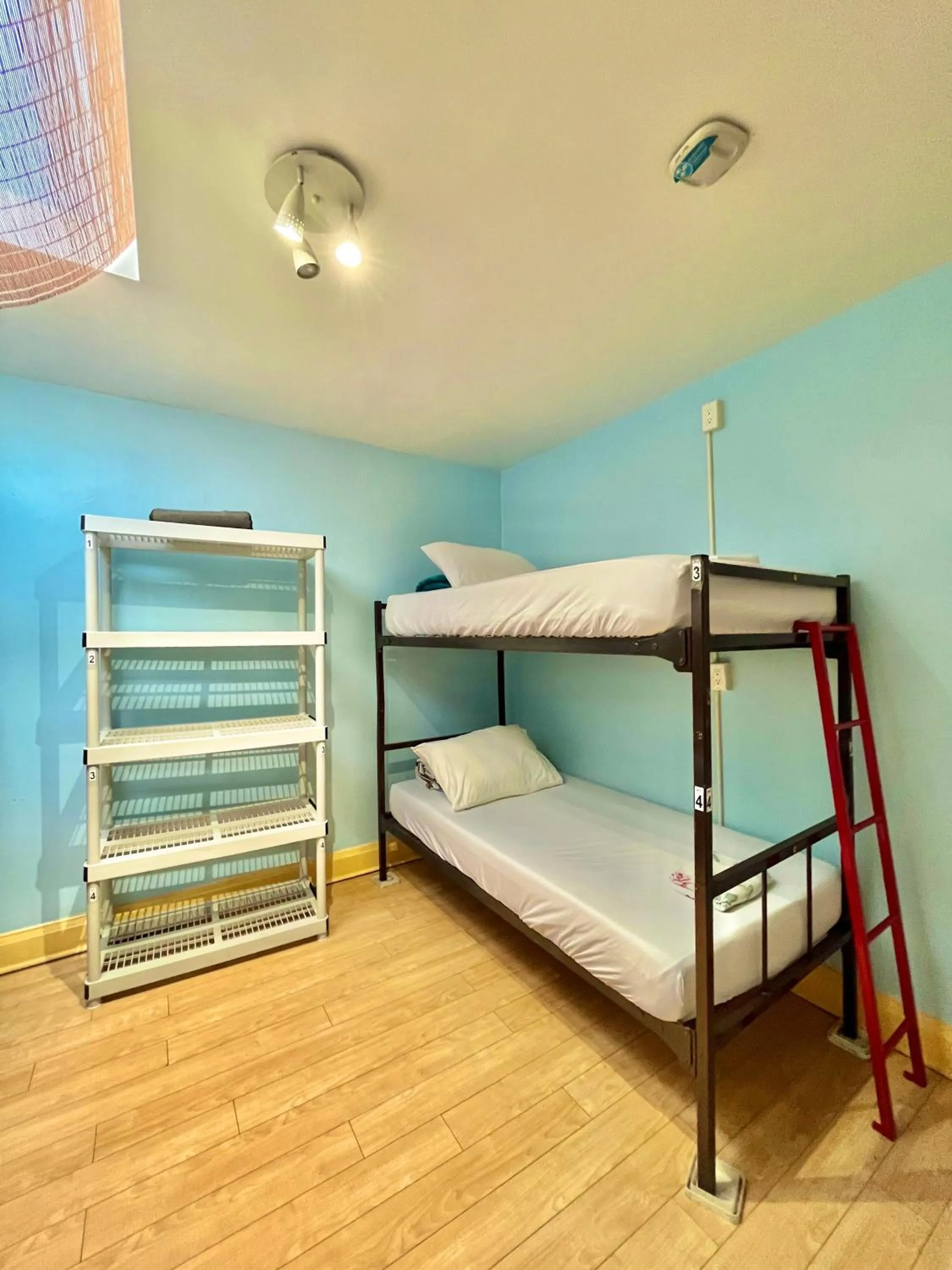 bunk bed, Bed in The Only Backpacker's Inn