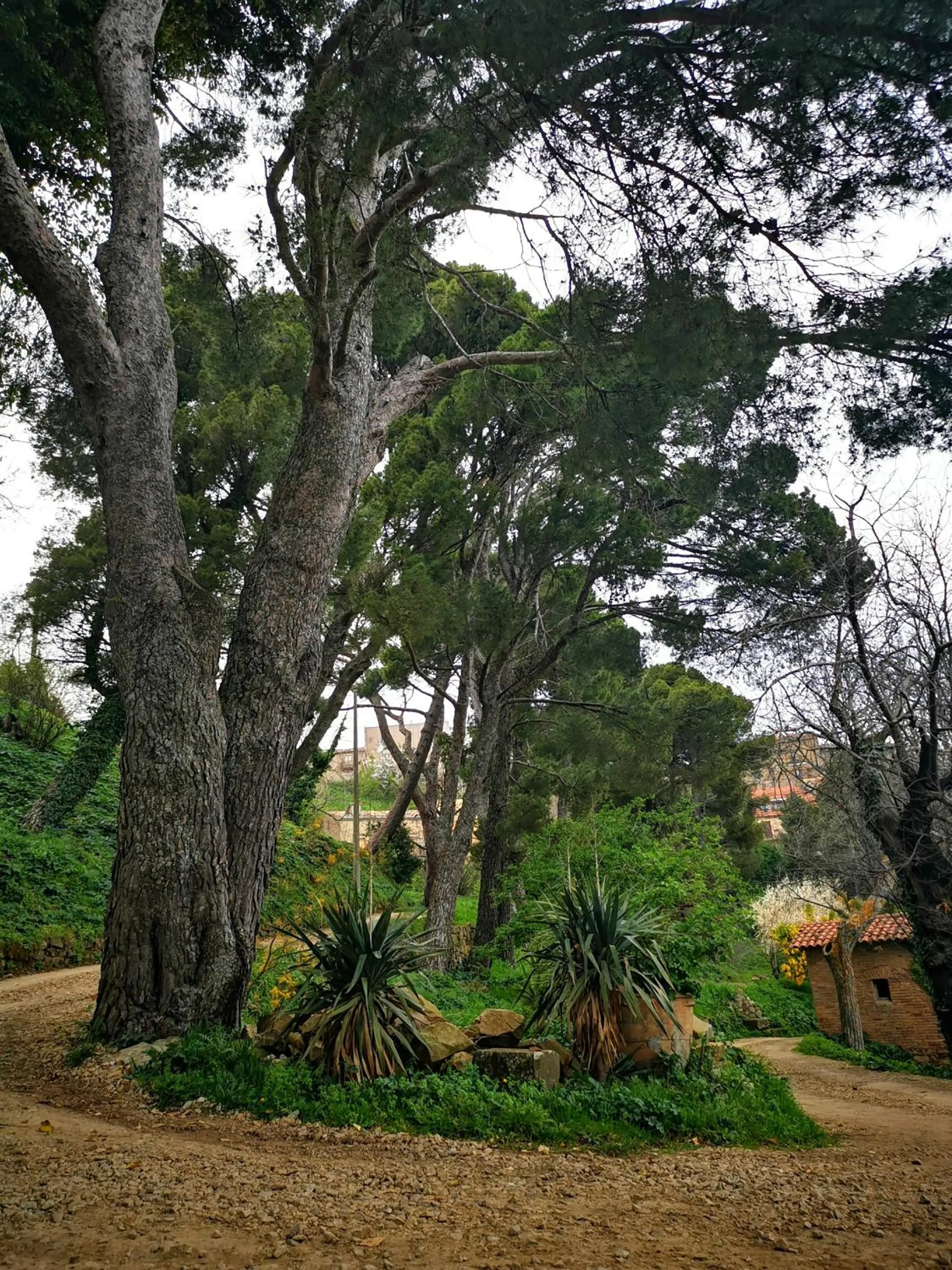 SESIMA turismo rurale