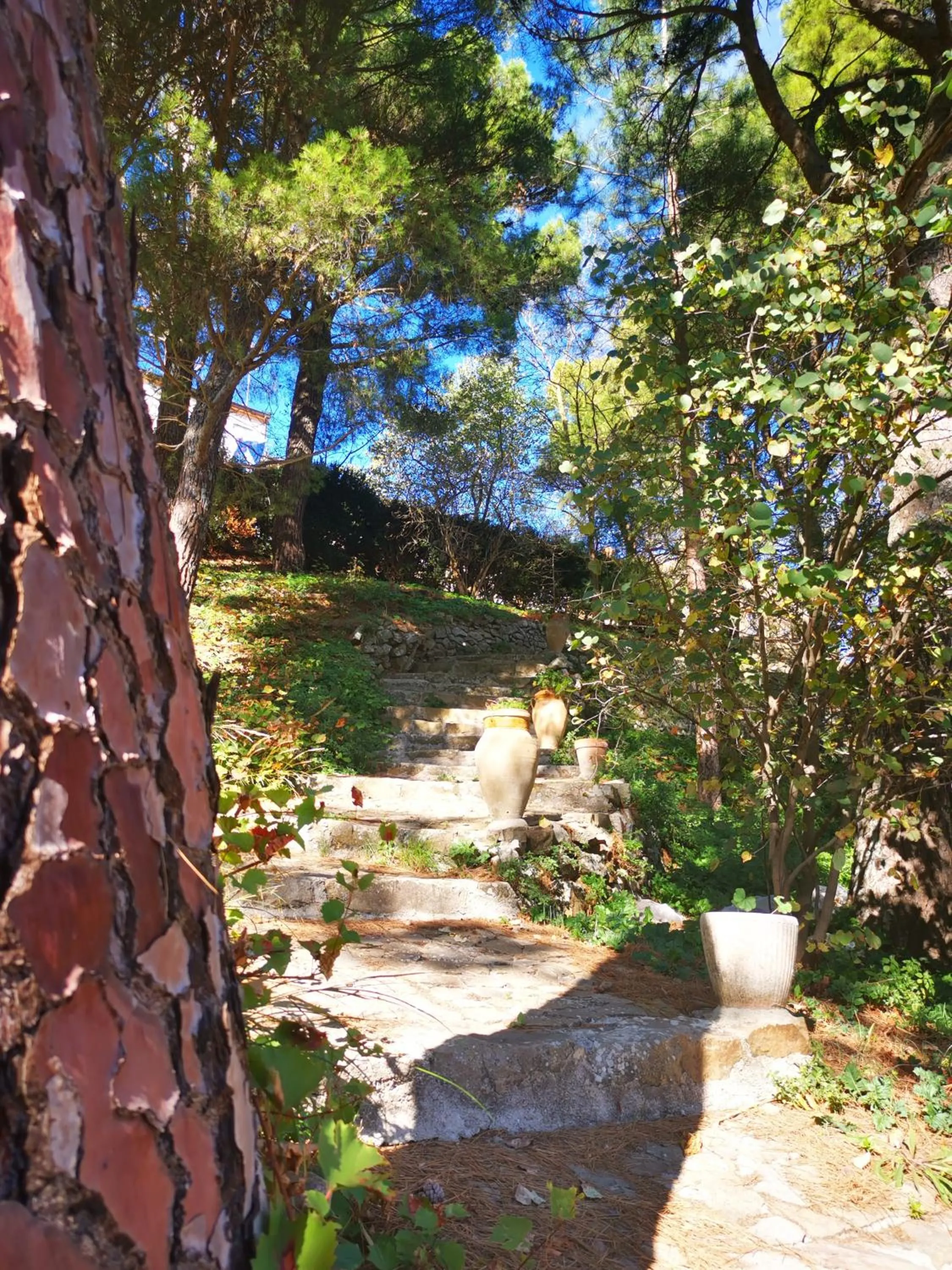 SESIMA turismo rurale