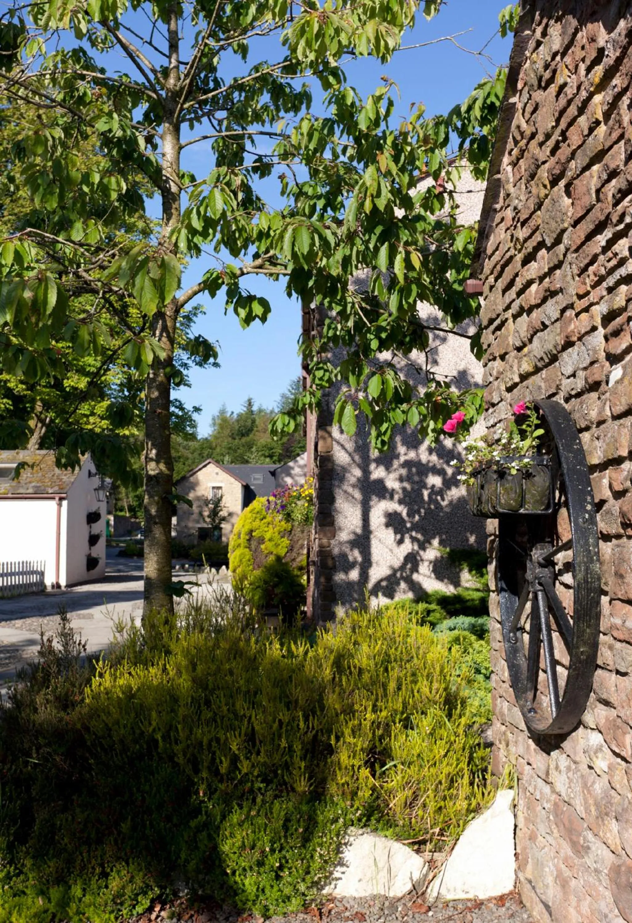 Garden in The Ullswater Suites at Whitbarrow