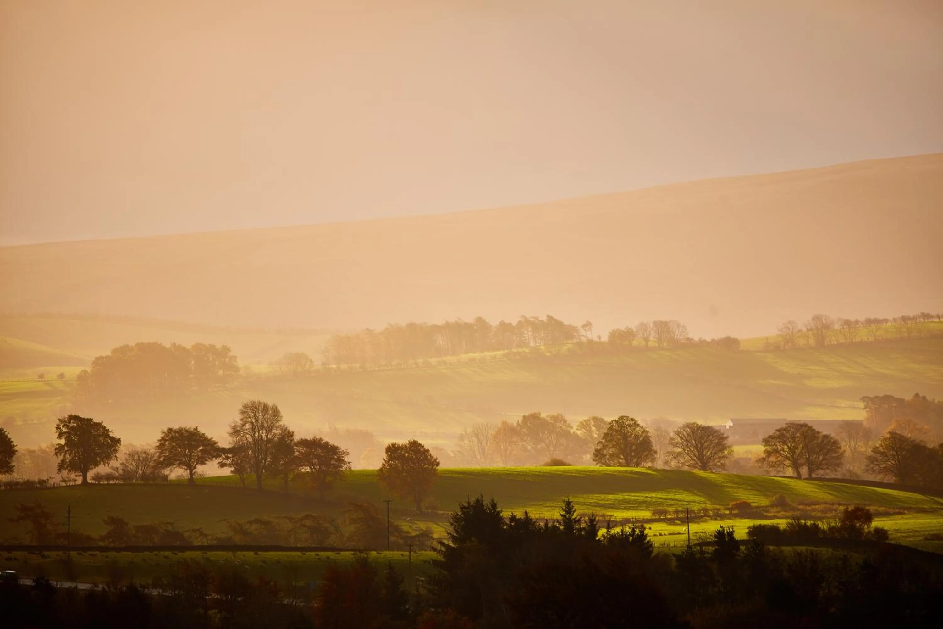 Natural landscape in The Ullswater Suites at Whitbarrow