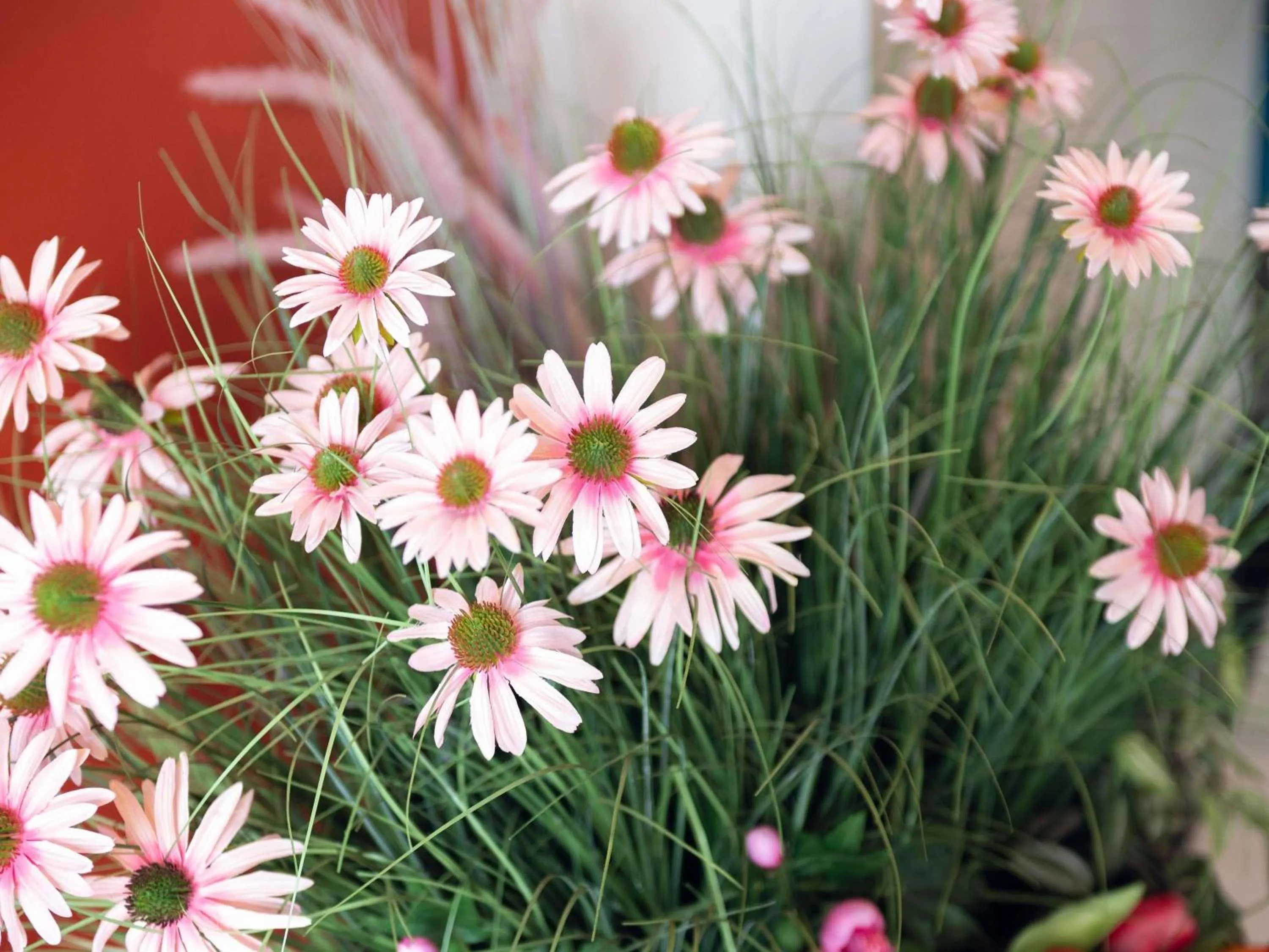 Property building in Ibis Styles Paris Batignolles