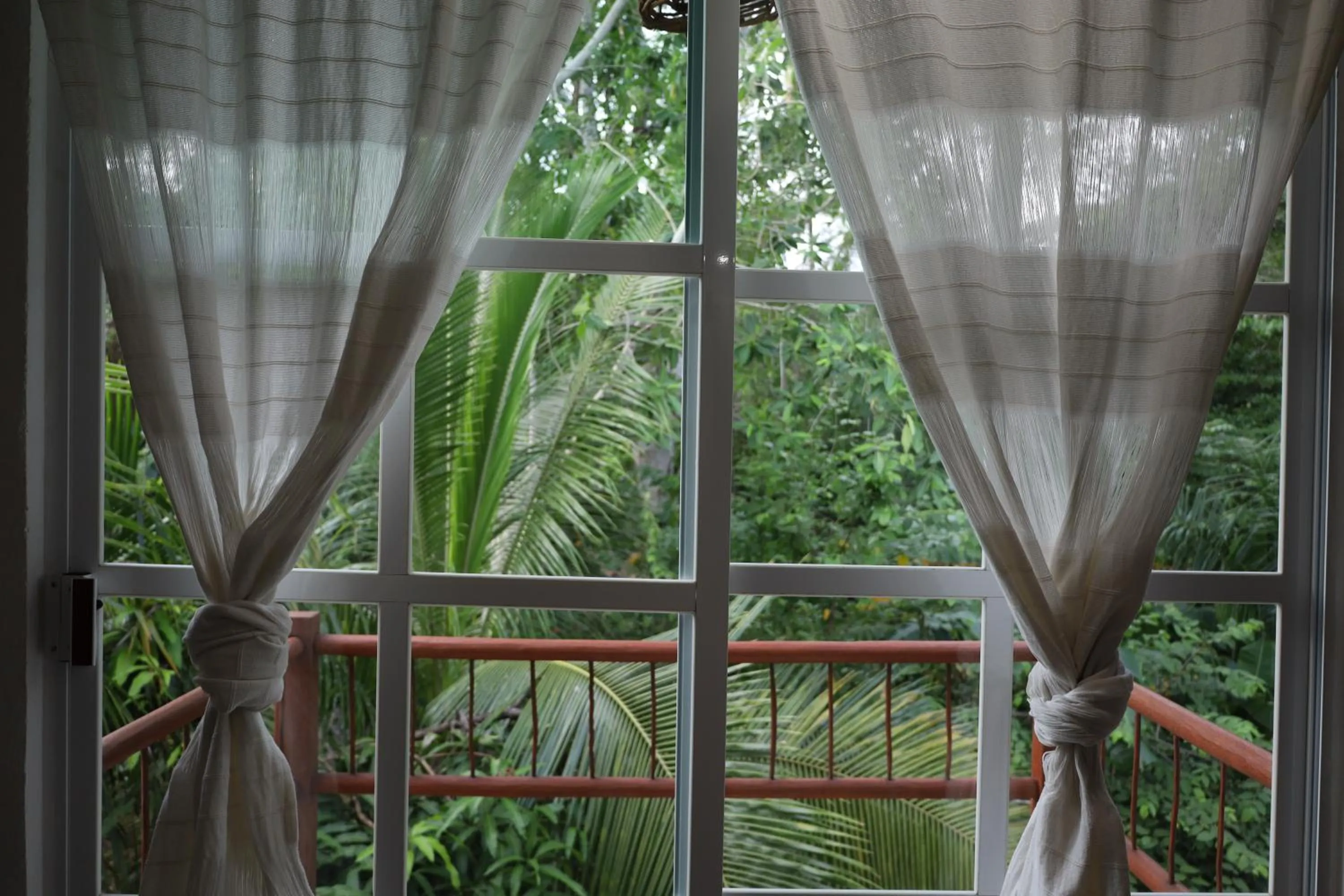 Natural landscape in Solez Zihuatanejo