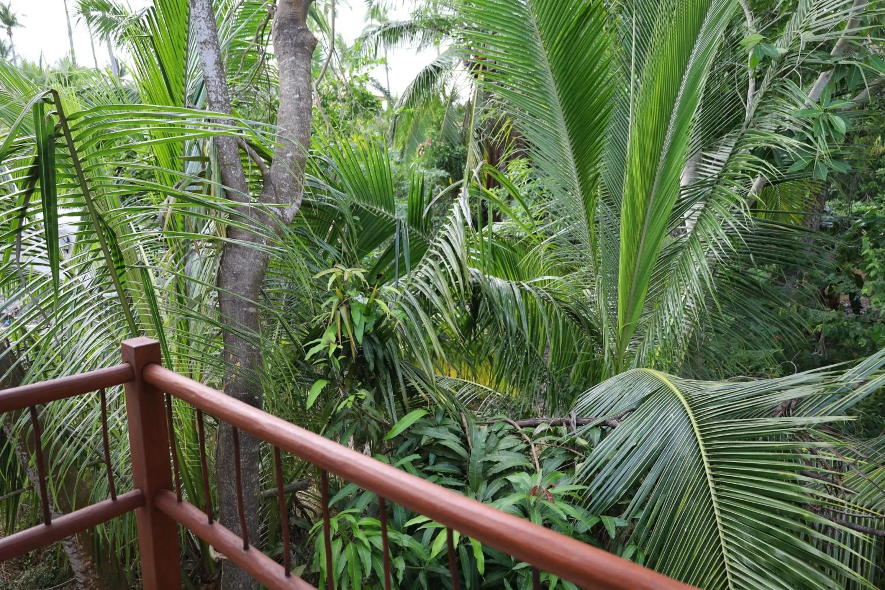 Balcony/Terrace in Solez Zihuatanejo