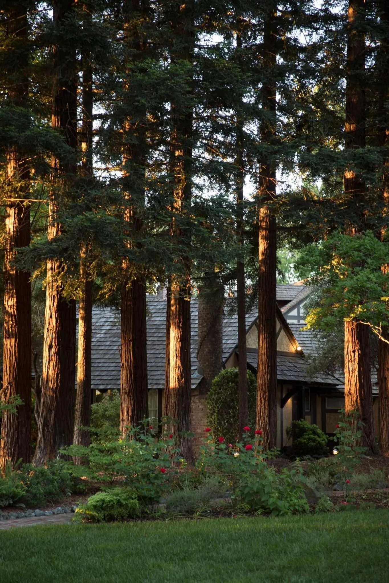 Natural landscape in Harvest Inn