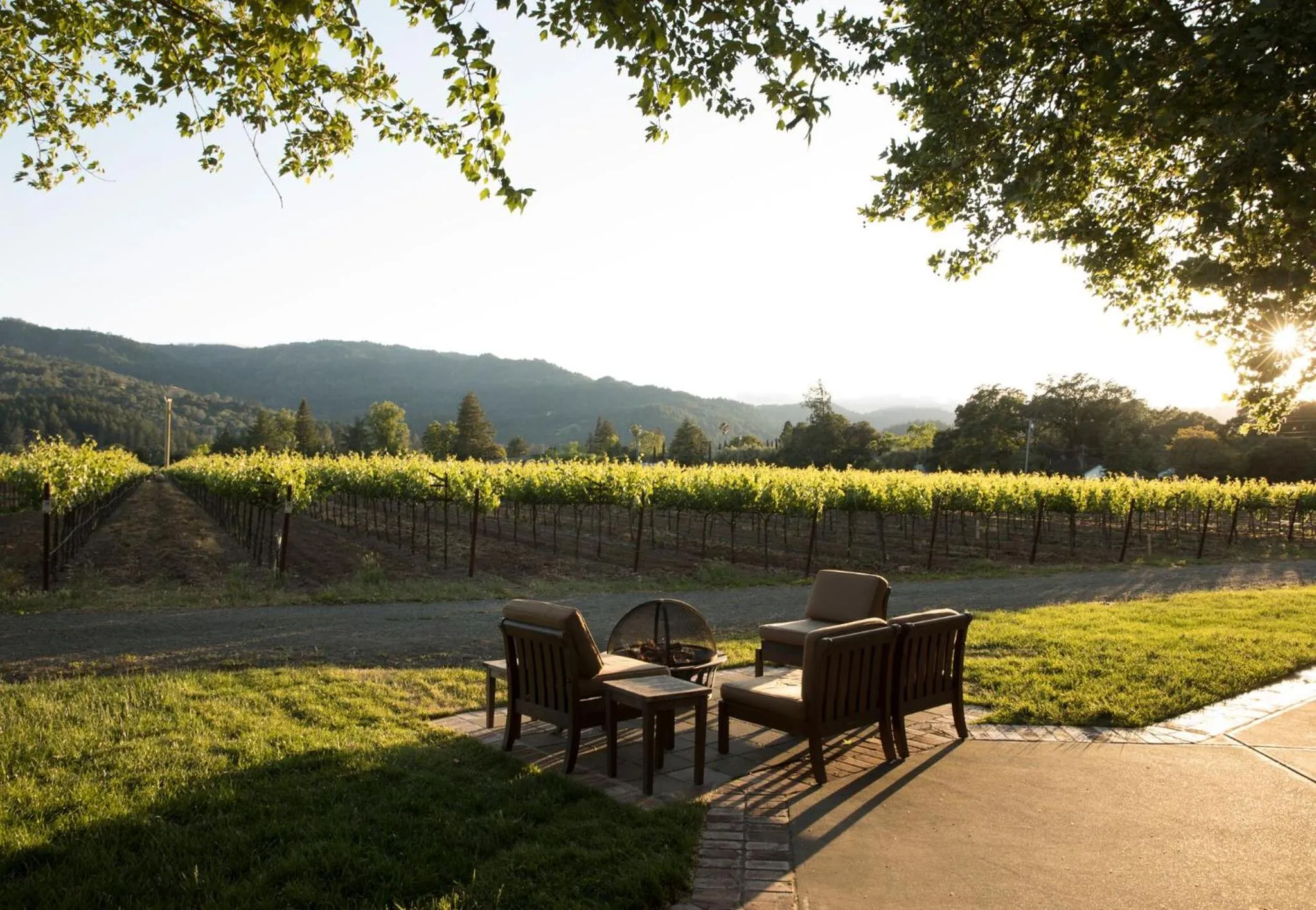 View (from property/room) in Harvest Inn