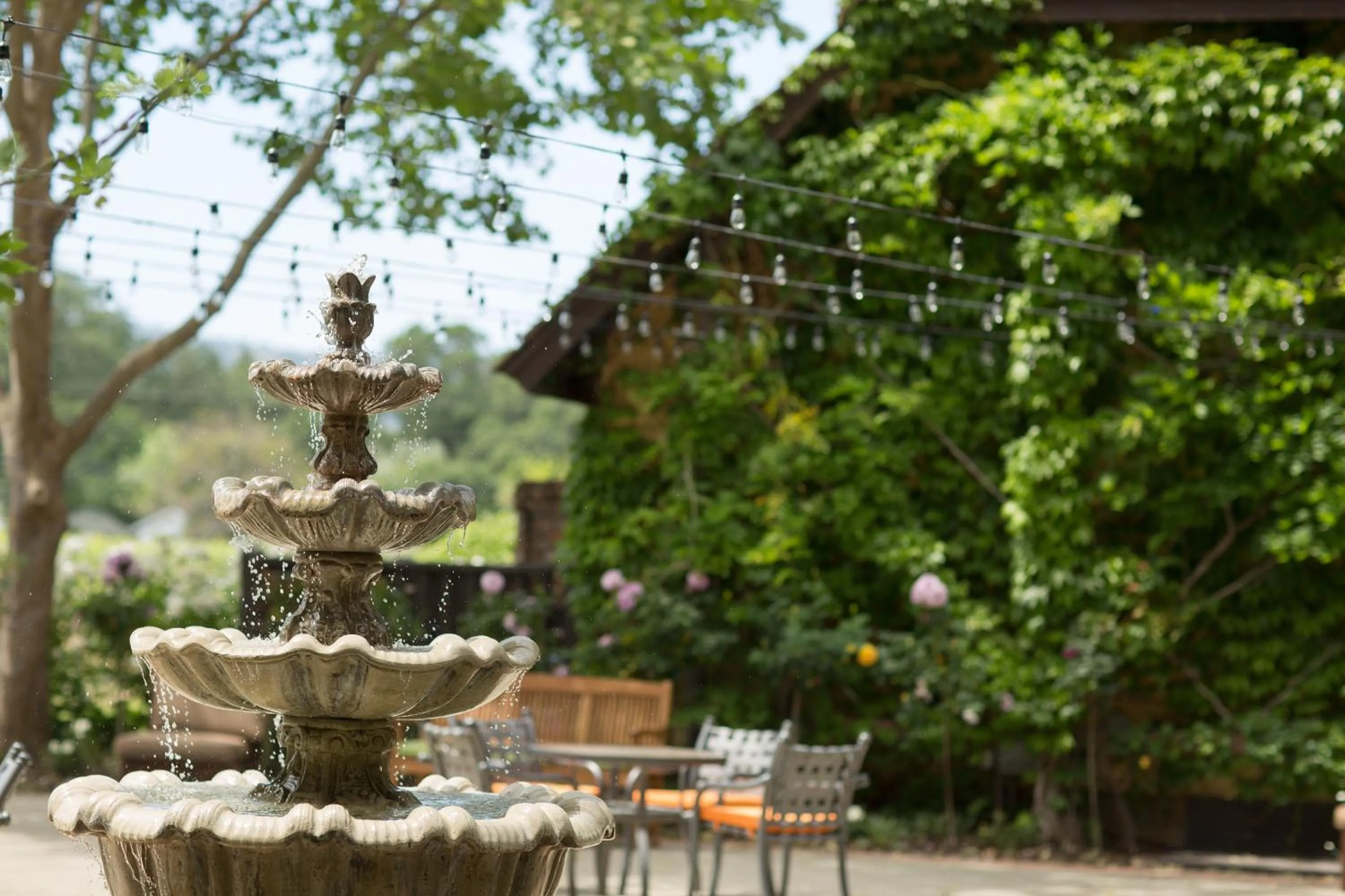 Patio in Harvest Inn