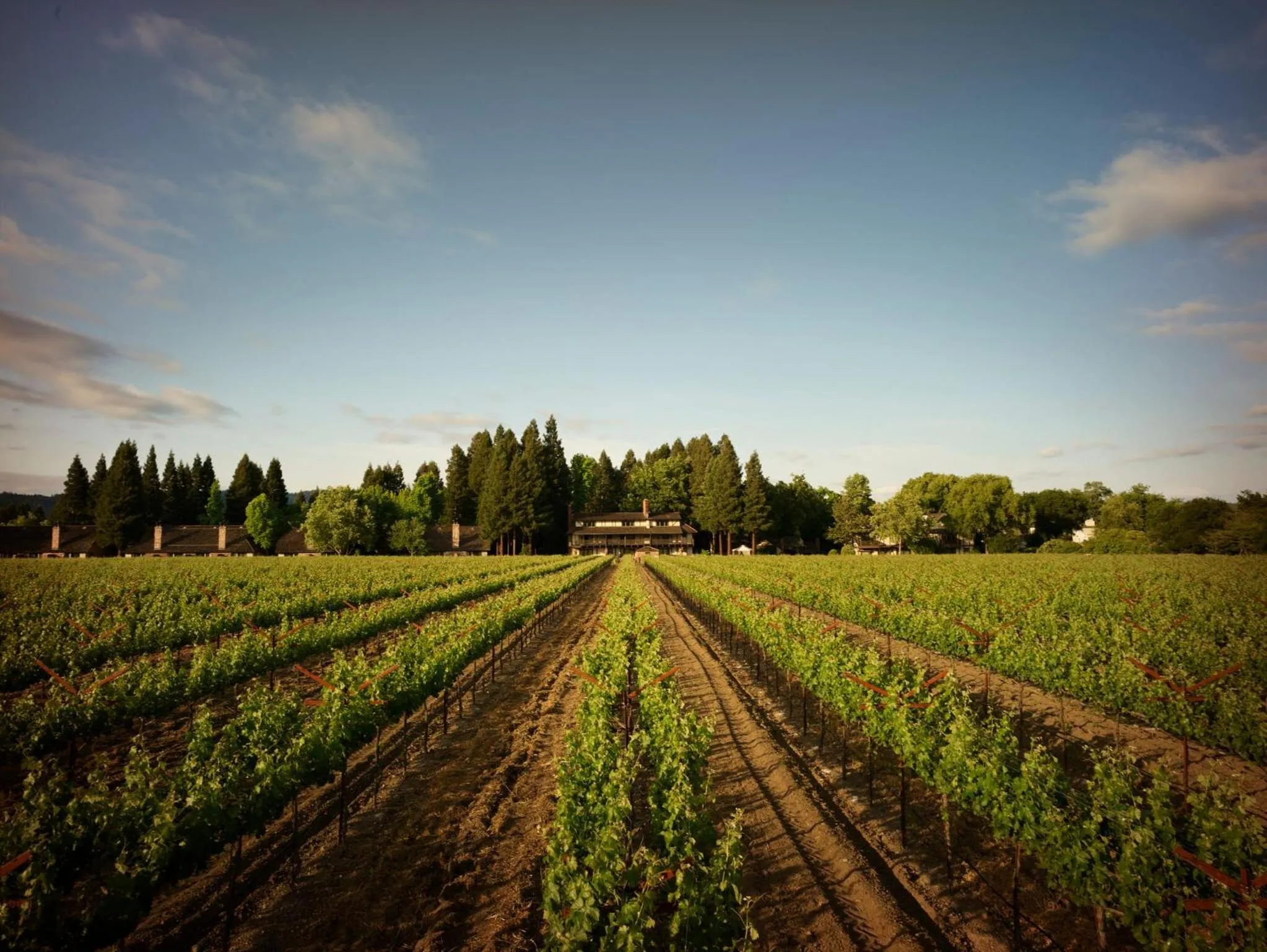 View (from property/room) in Harvest Inn