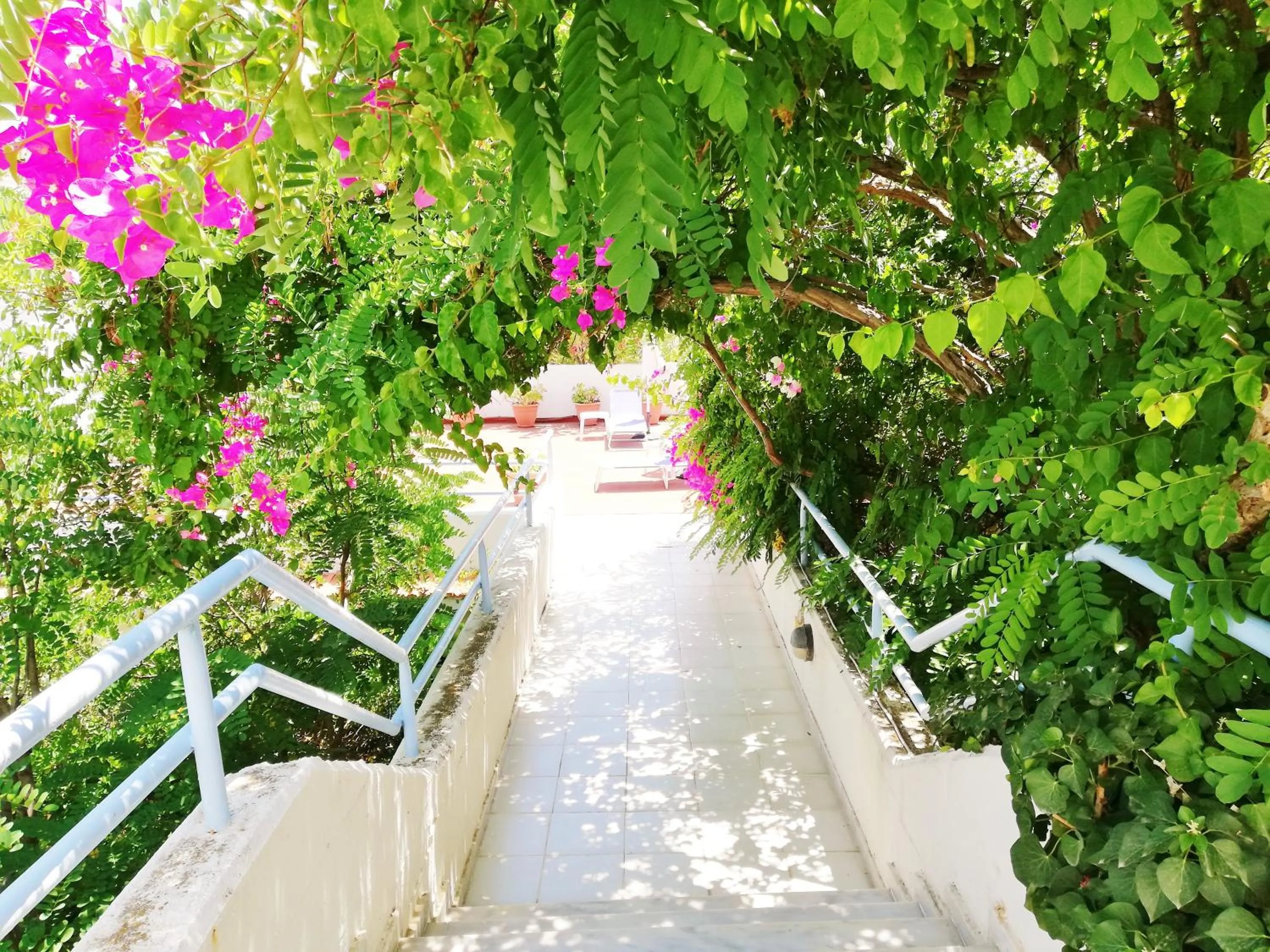 Seafront Studios and Apartments