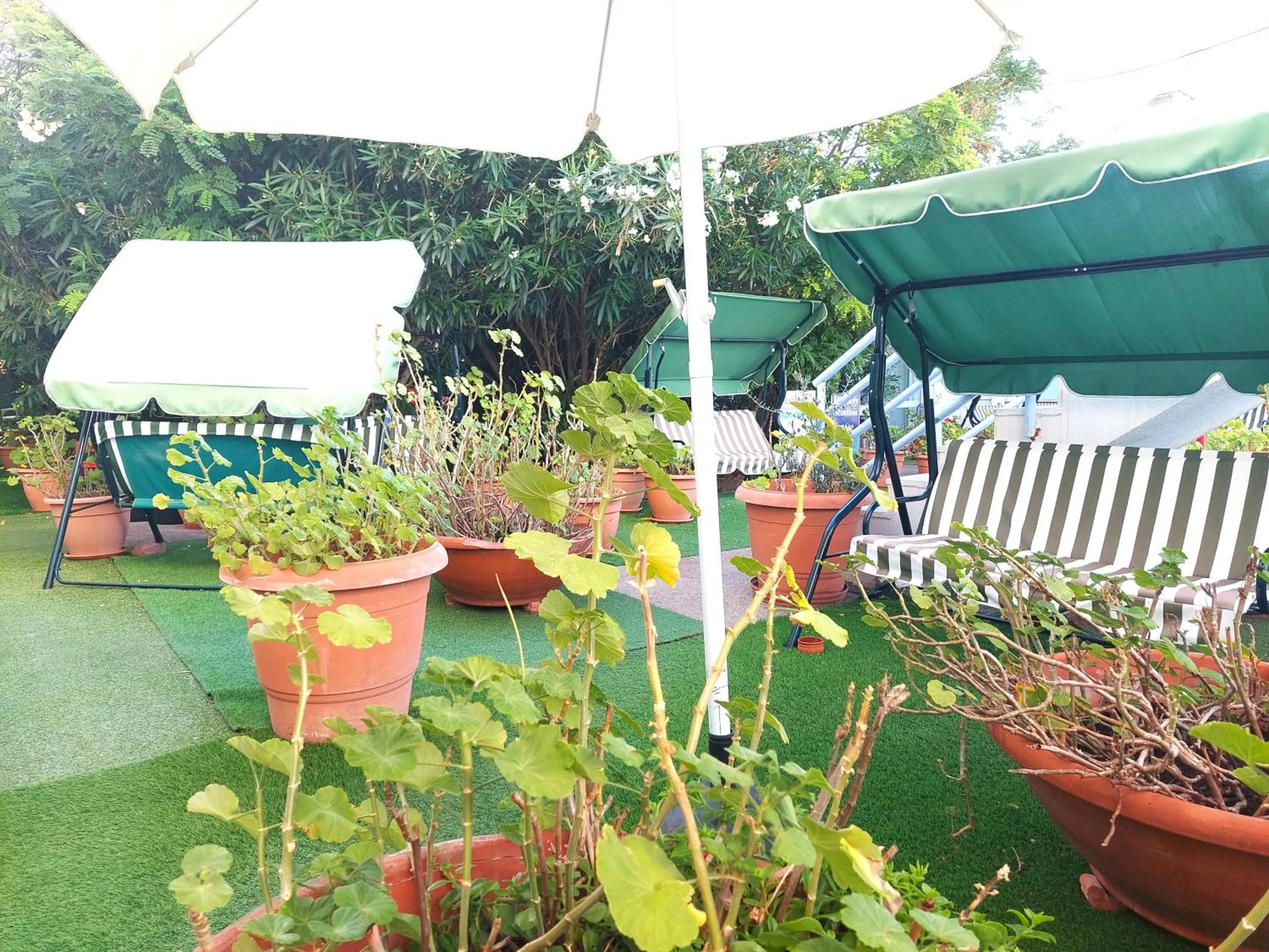 Seafront Studios and Apartments