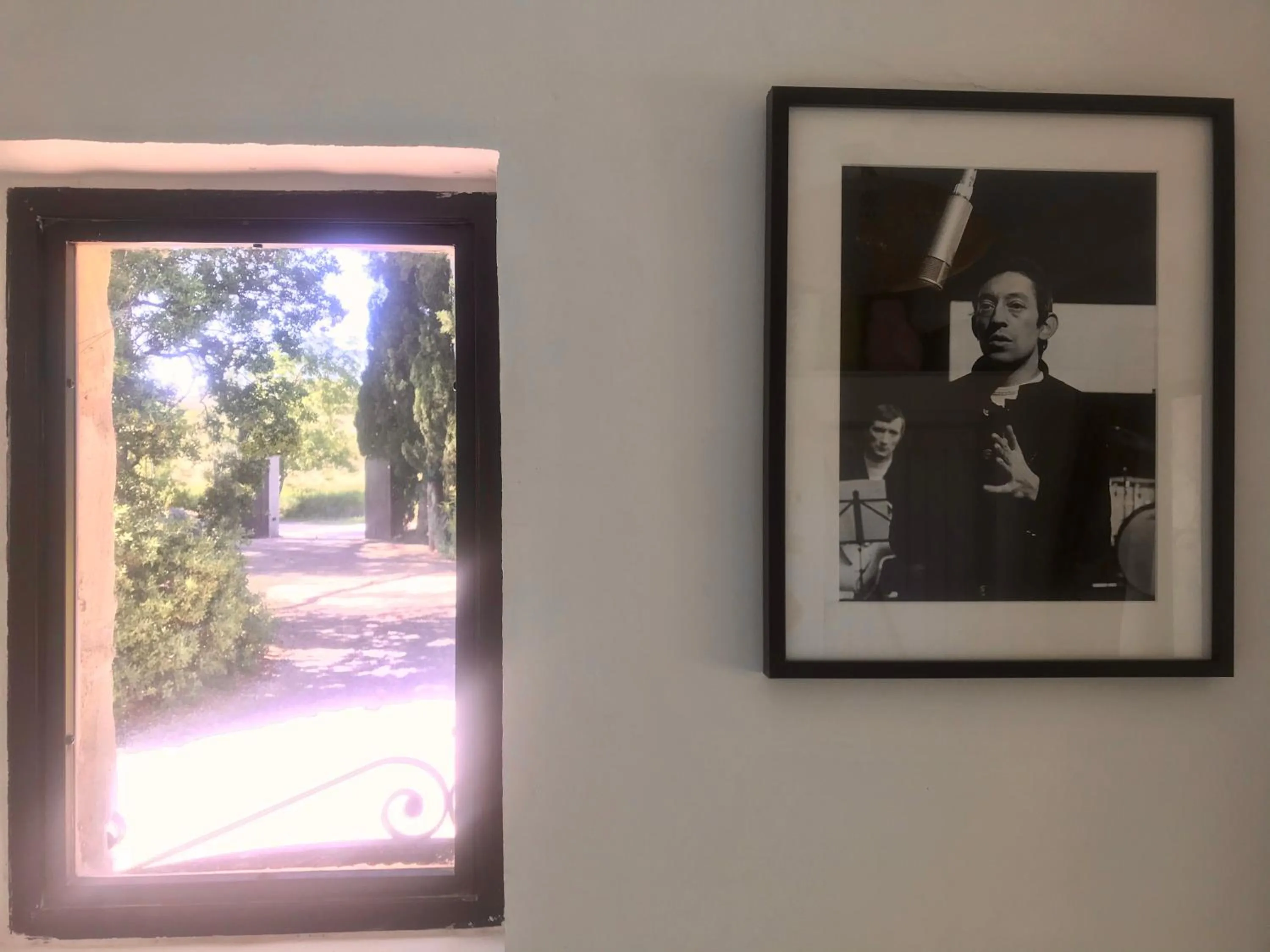 Garden view in Mas des Alpilles