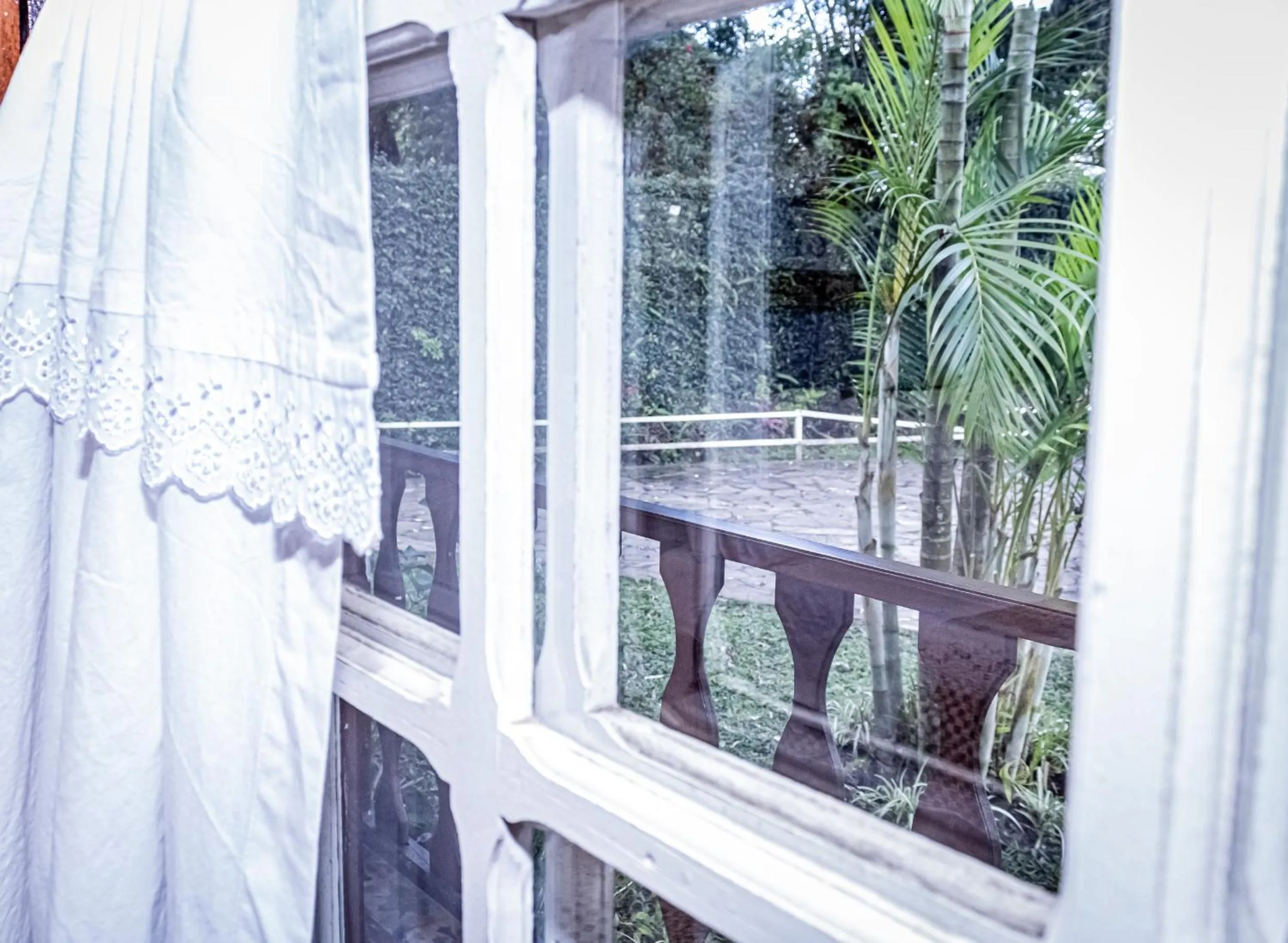 View (from property/room) in Casa de Violeta Pousada