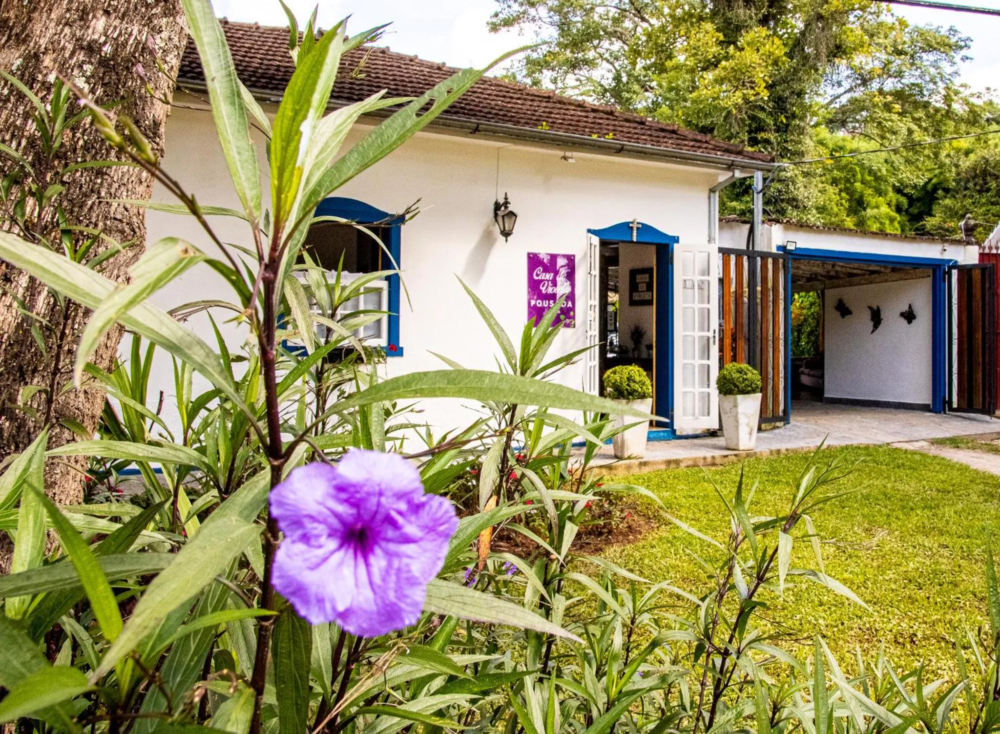 Property building in Casa de Violeta Pousada