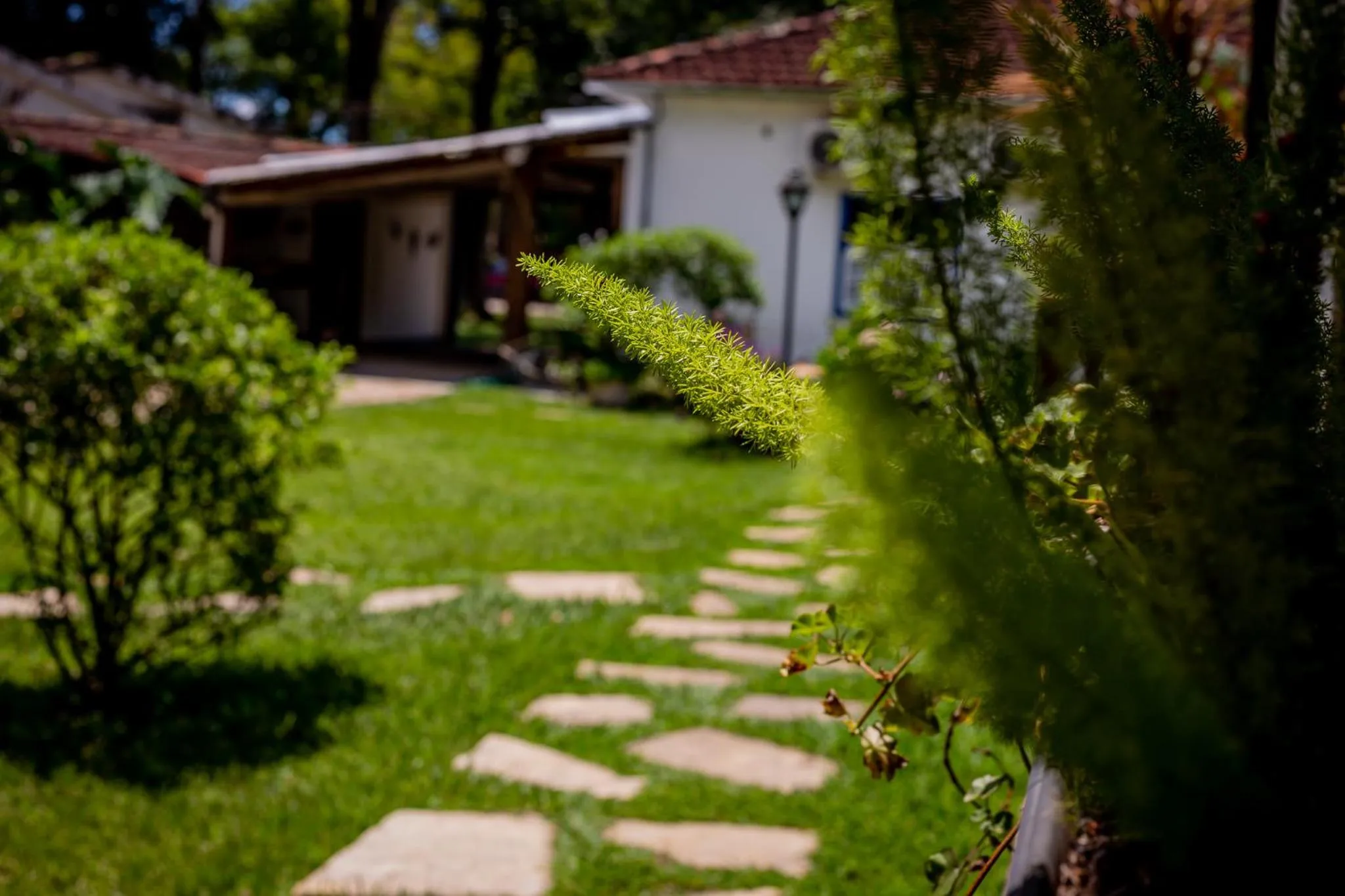 Property building in Casa de Violeta Pousada